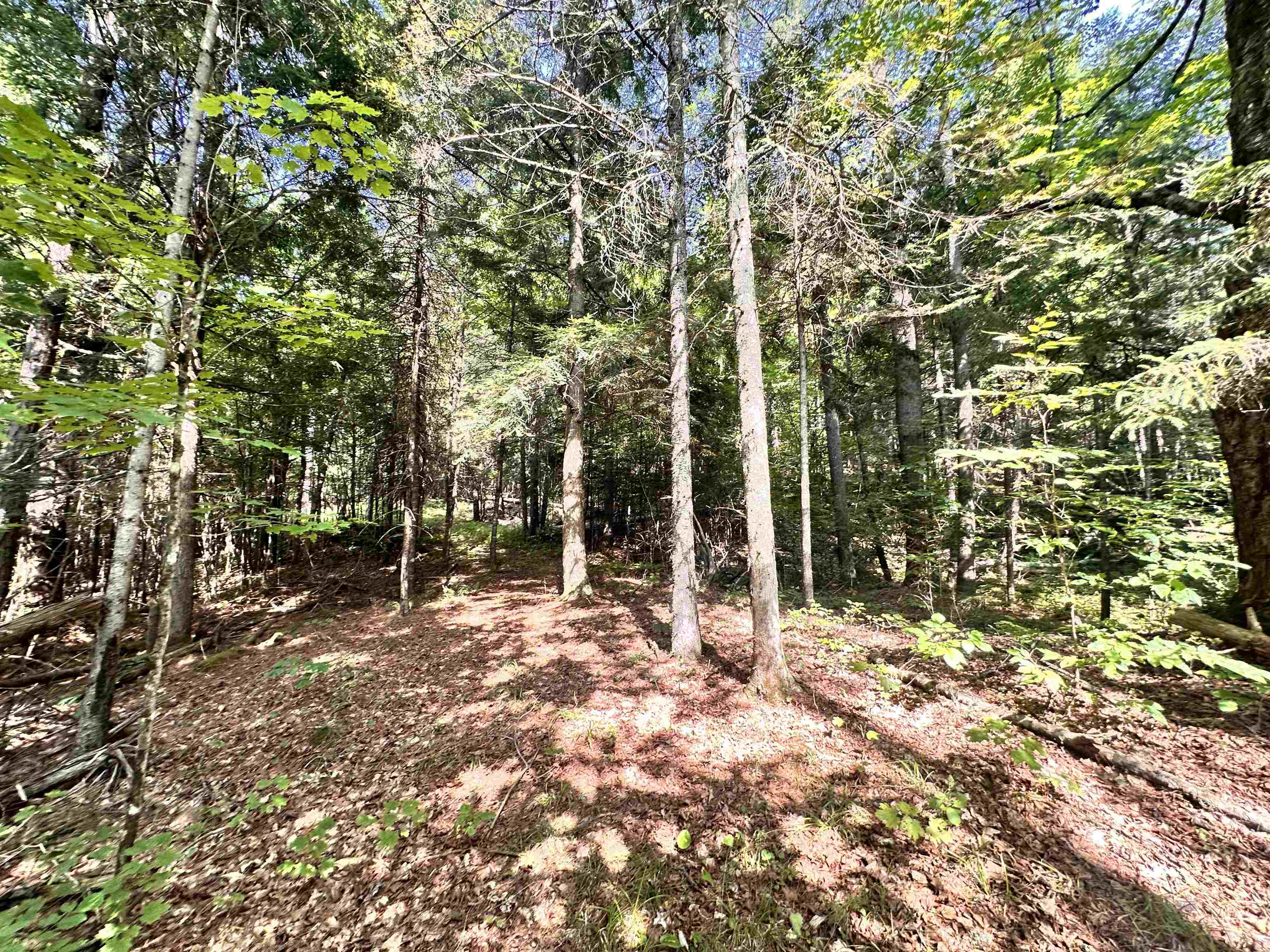 432 Glover Road Property Photo 18