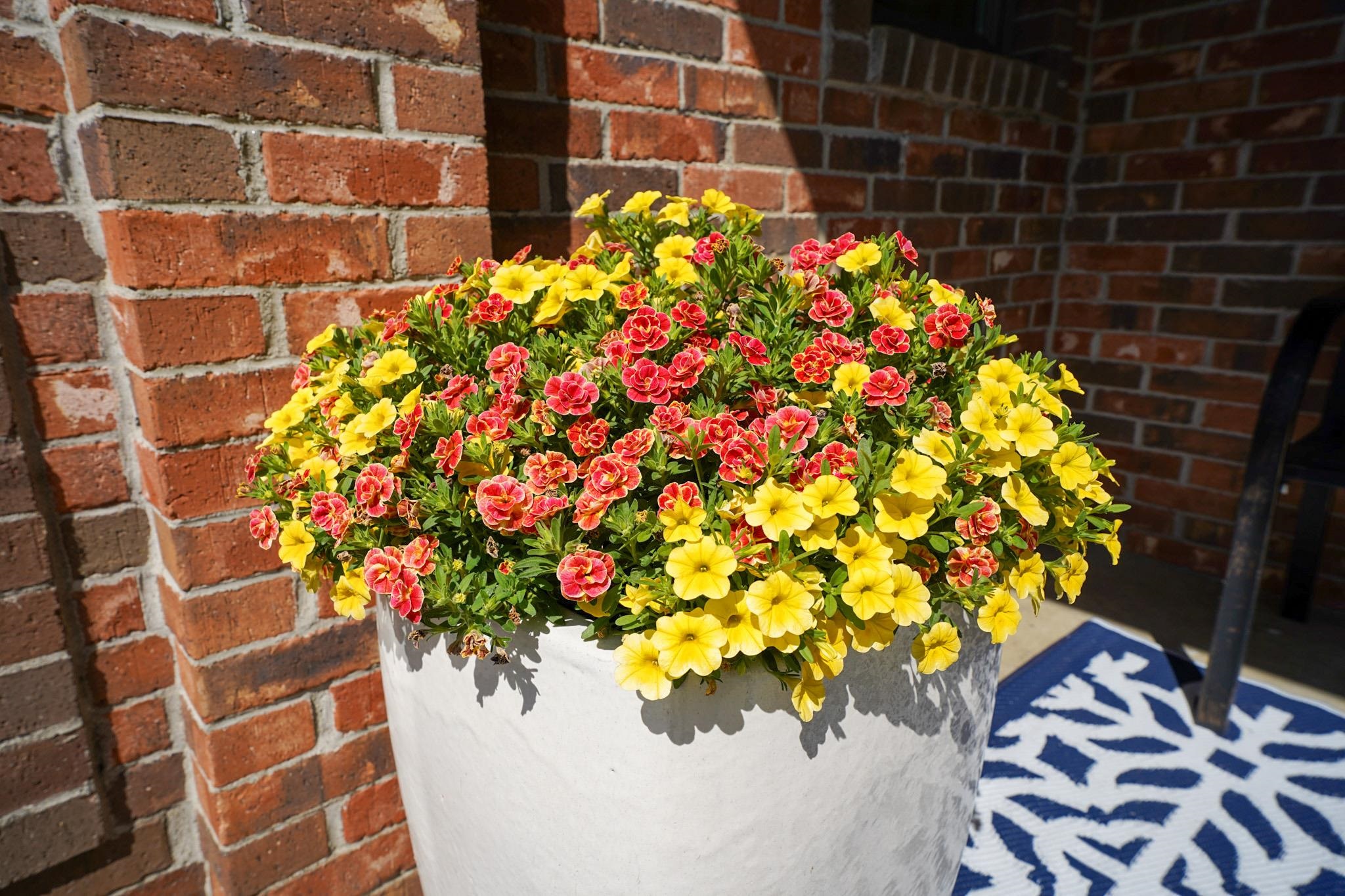 936 Rocky Ridge Property Photo 38