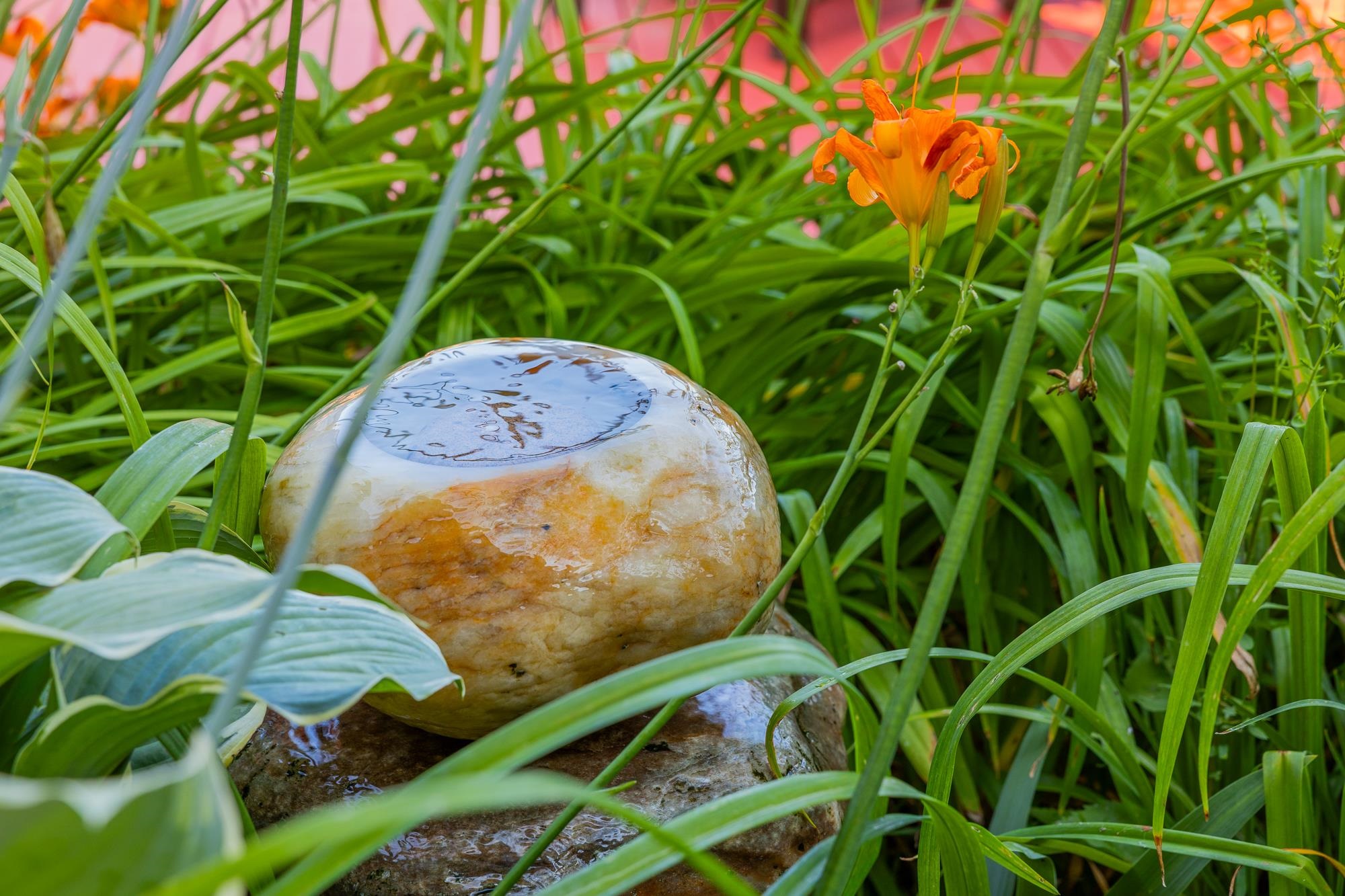 189 Chelsea-corinth Road Property Photo 51