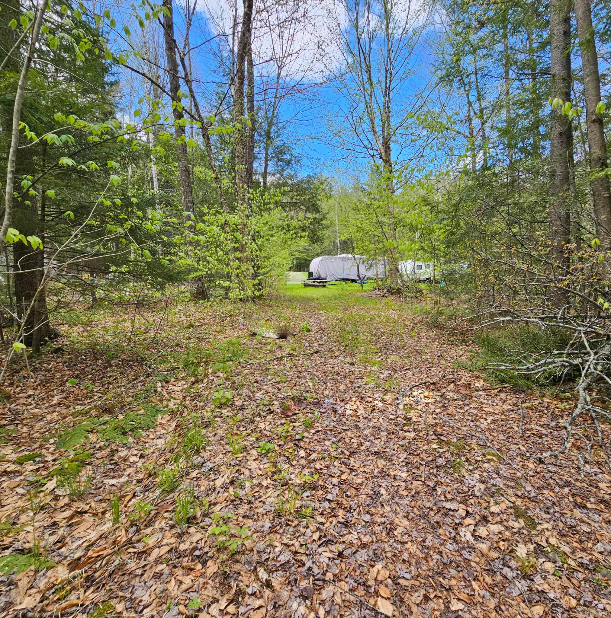 1175 Quarry Road Property Photo 8