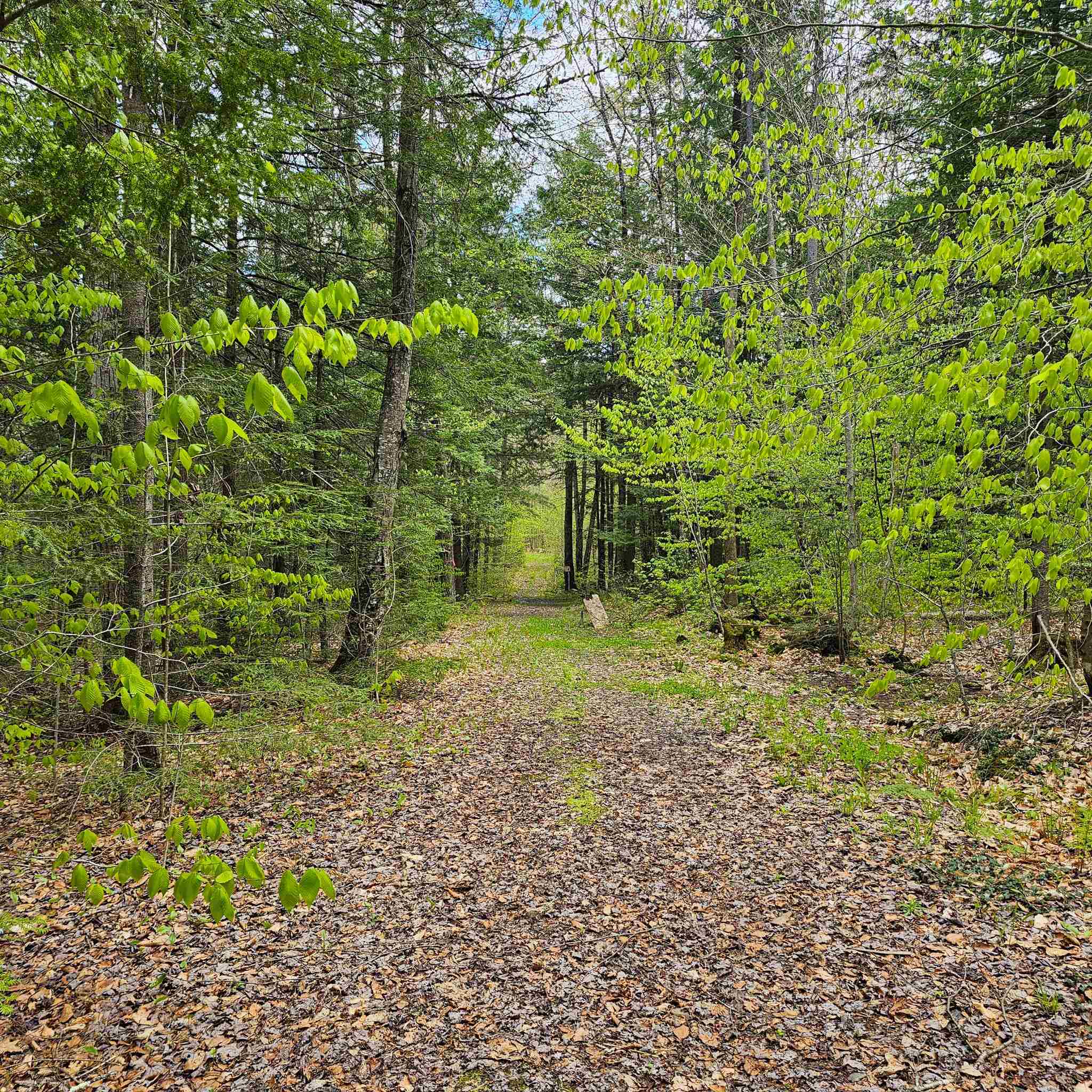 1175 Quarry Road Property Photo 9
