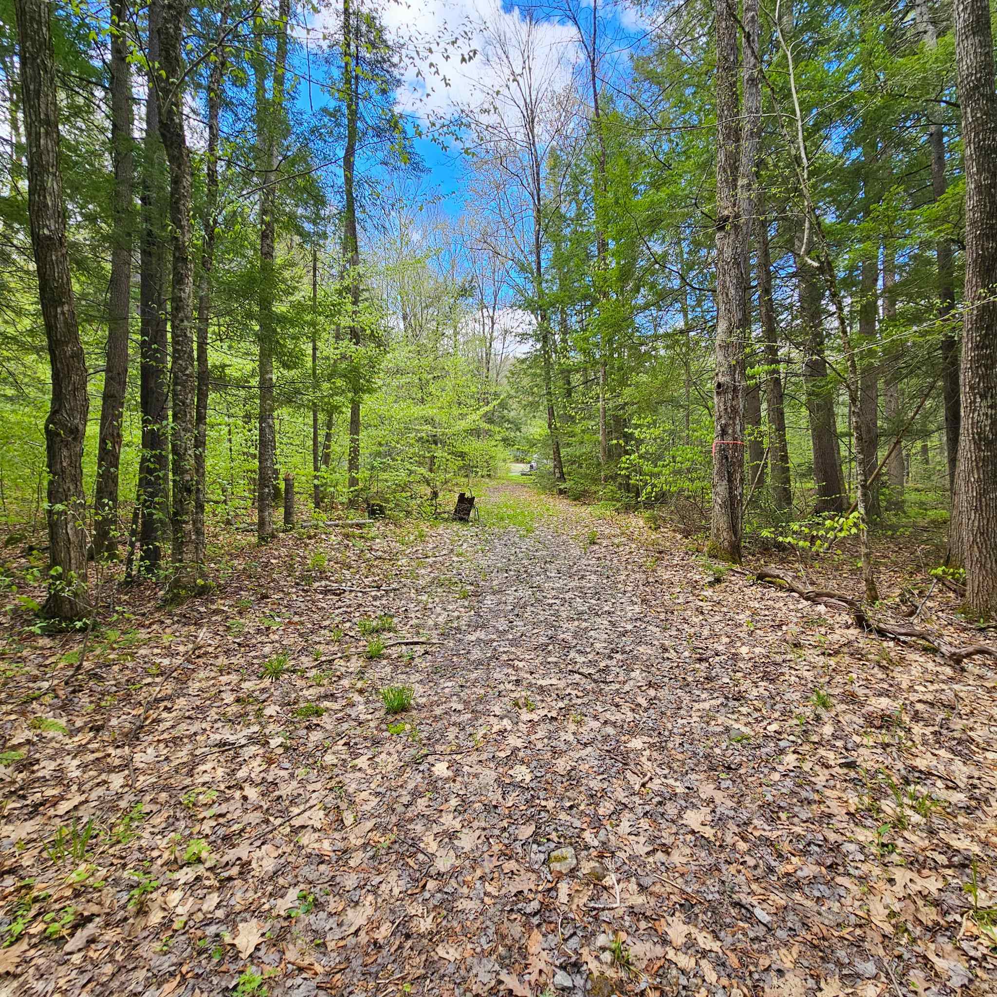 1175 Quarry Road Property Photo 10
