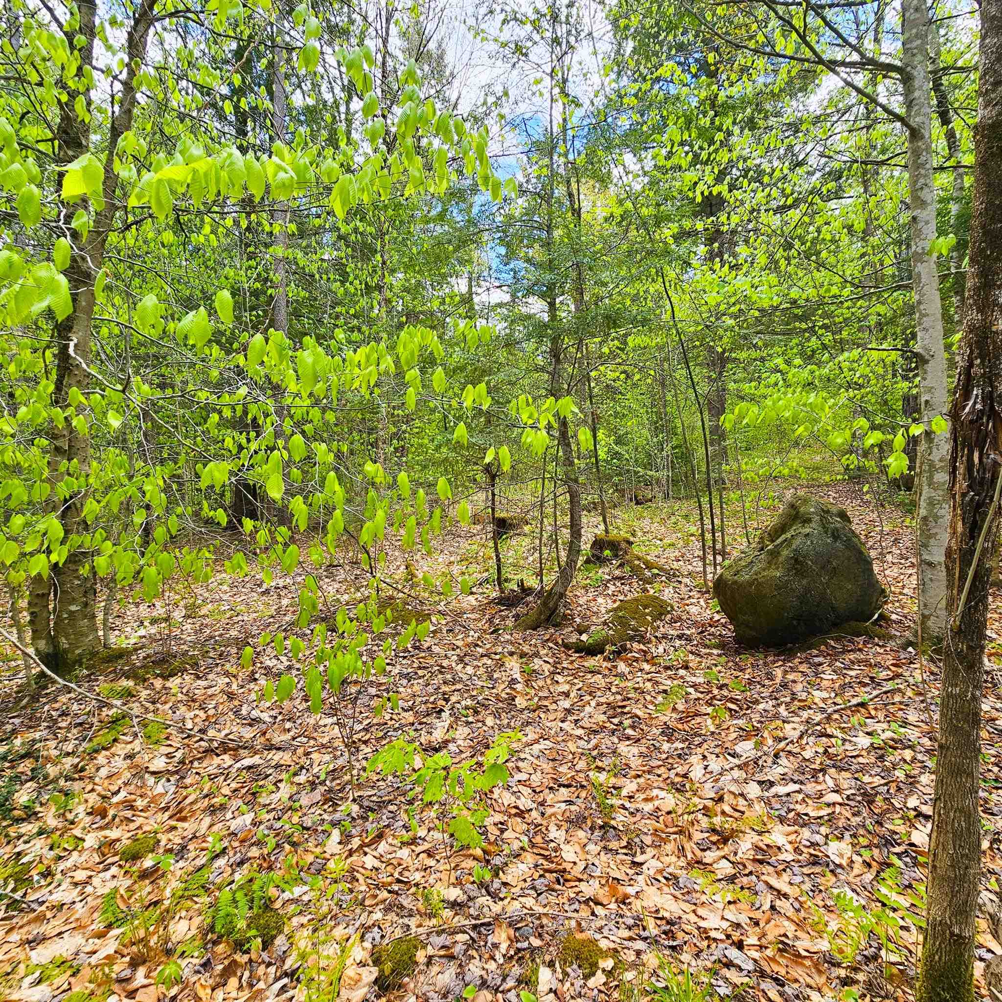 1175 Quarry Road Property Photo 12
