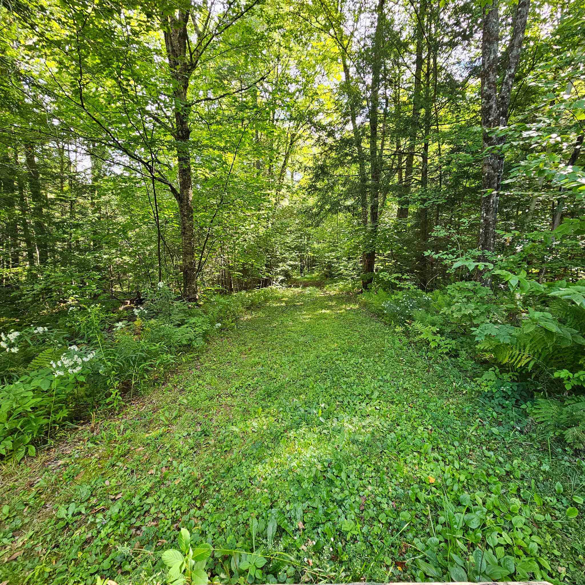1175 Quarry Road Property Photo 13