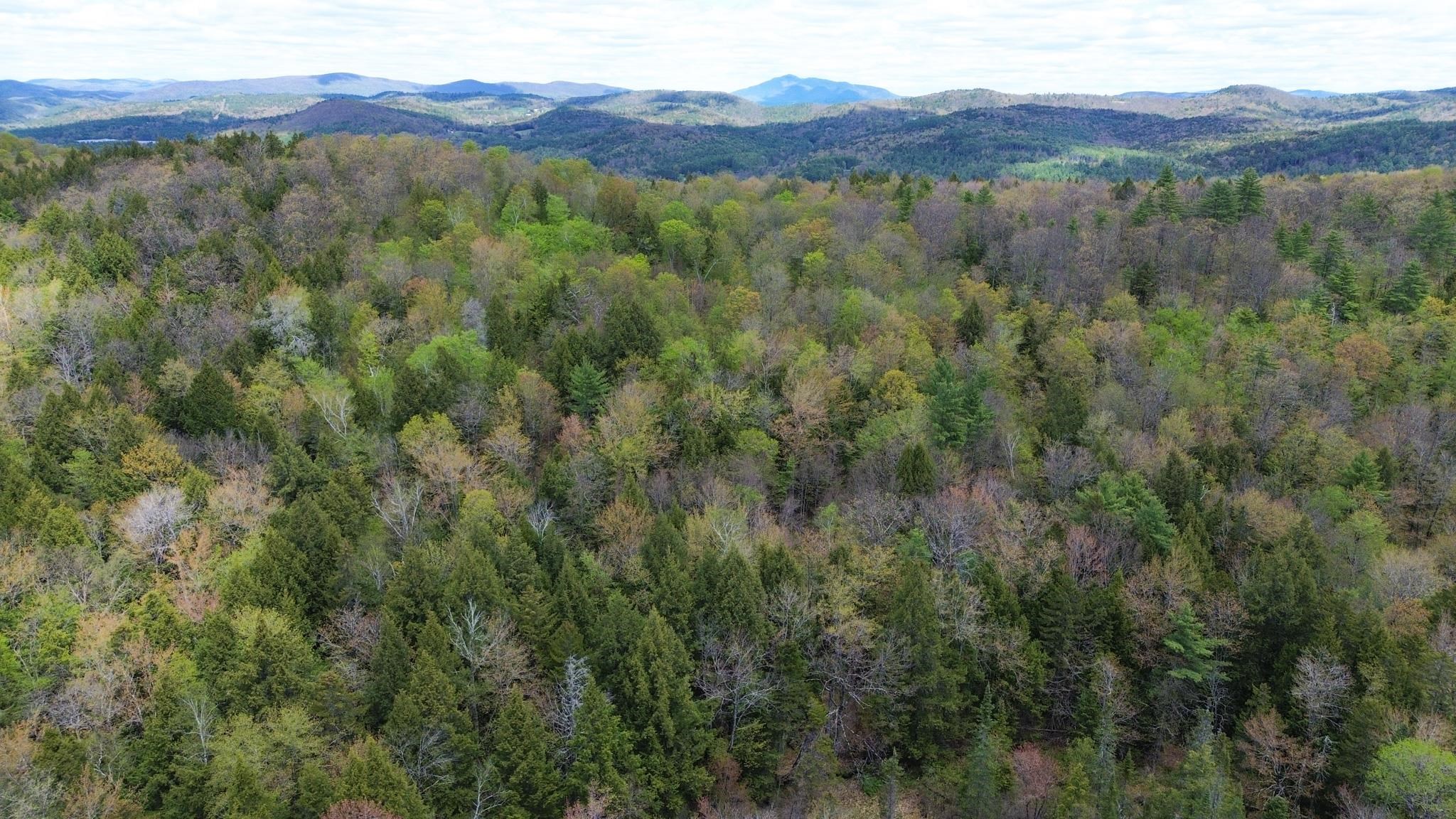 1175 Quarry Road Property Photo 23