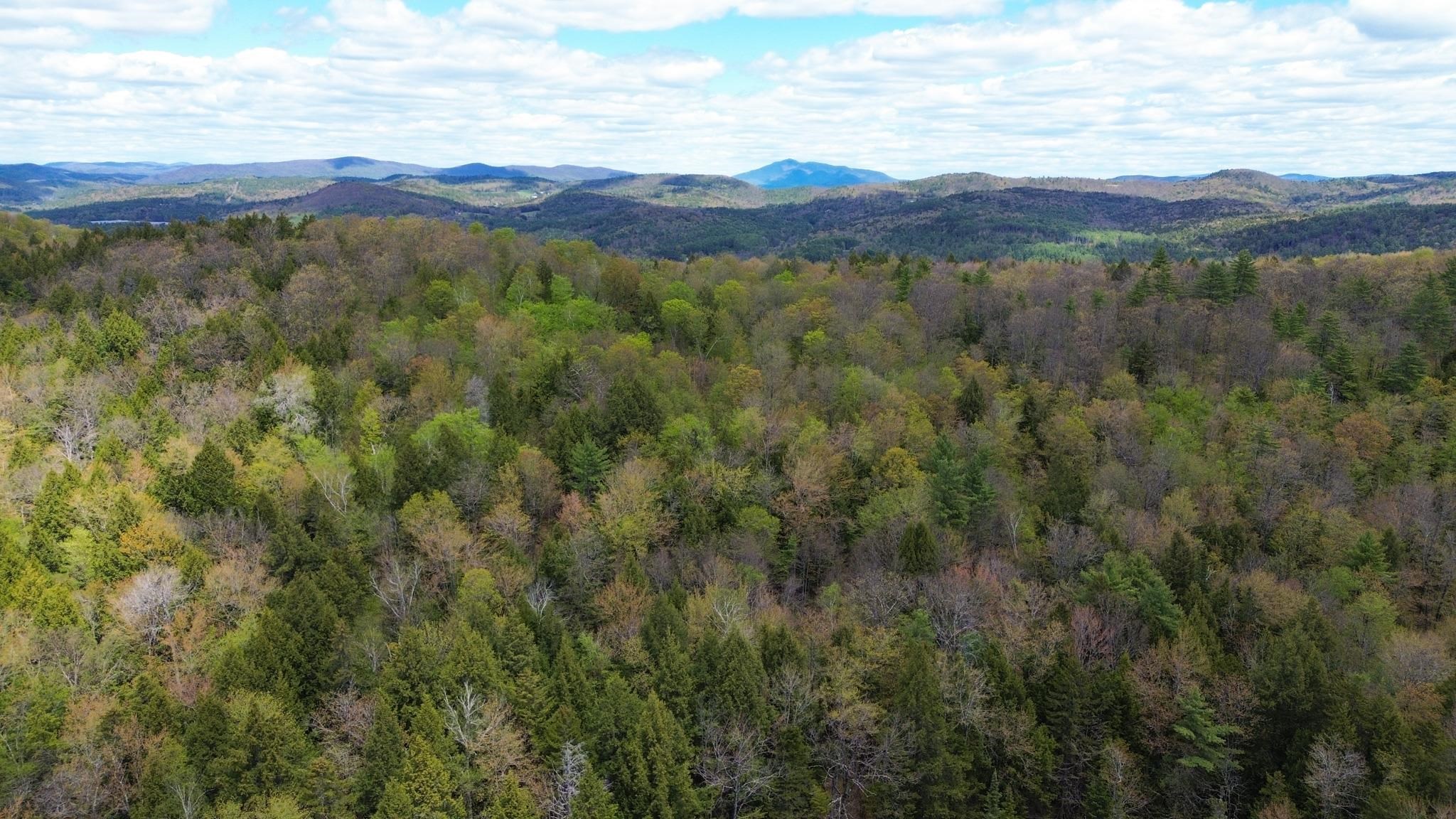 1175 Quarry Road Property Photo 24