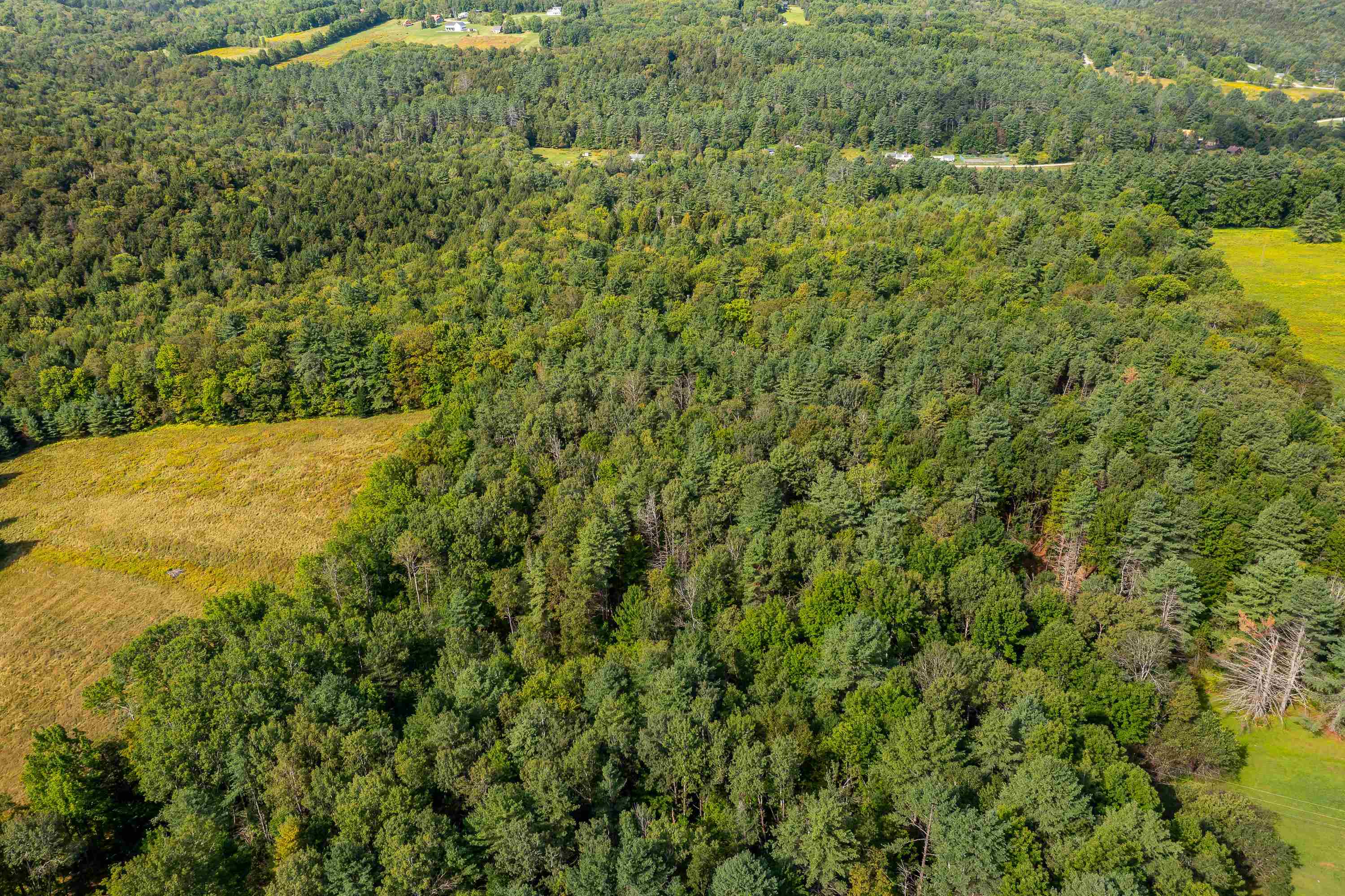 Lot #4 Meadow Road Property Photo 6