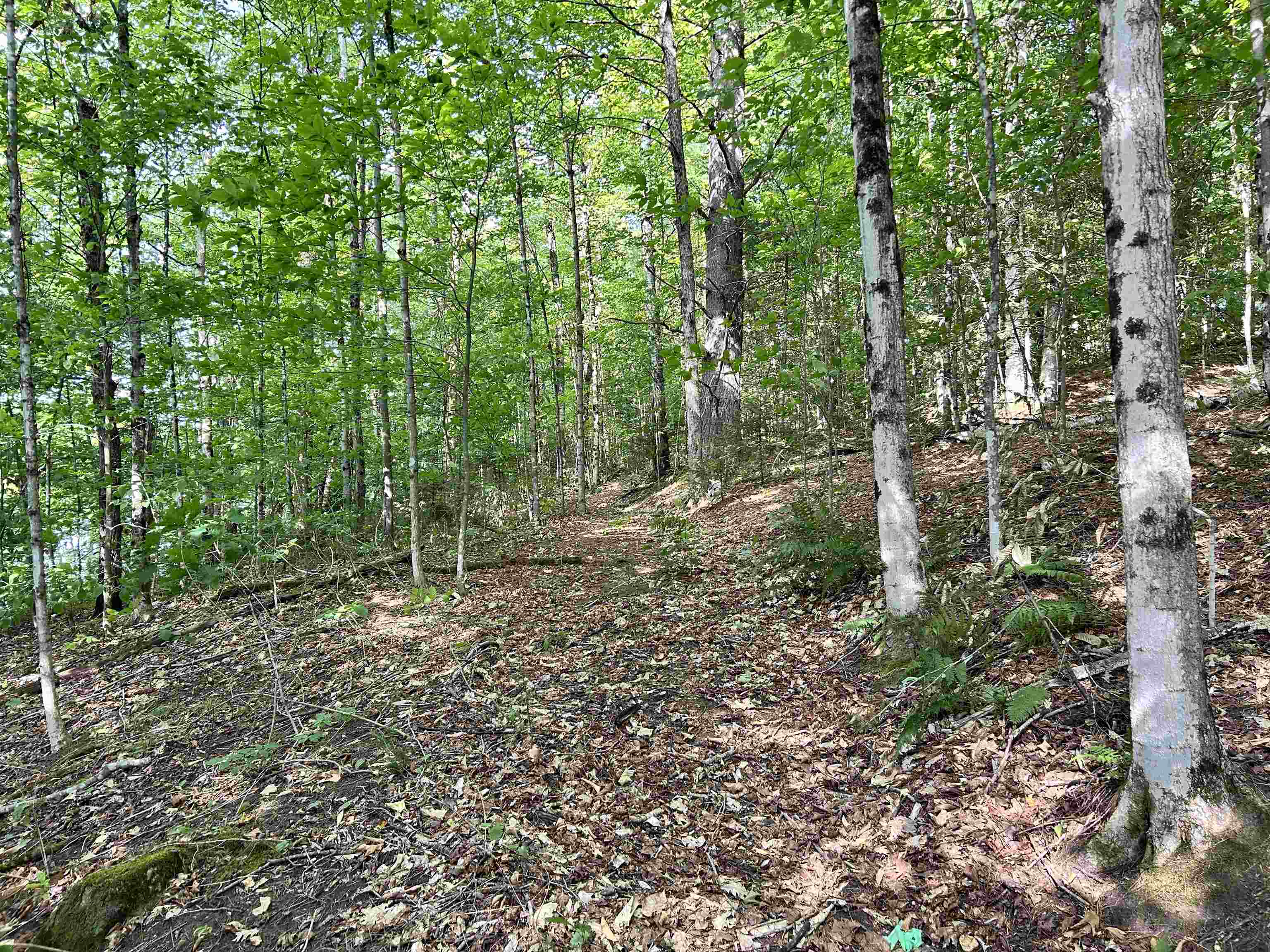 0 Gar Road Property Photo 7