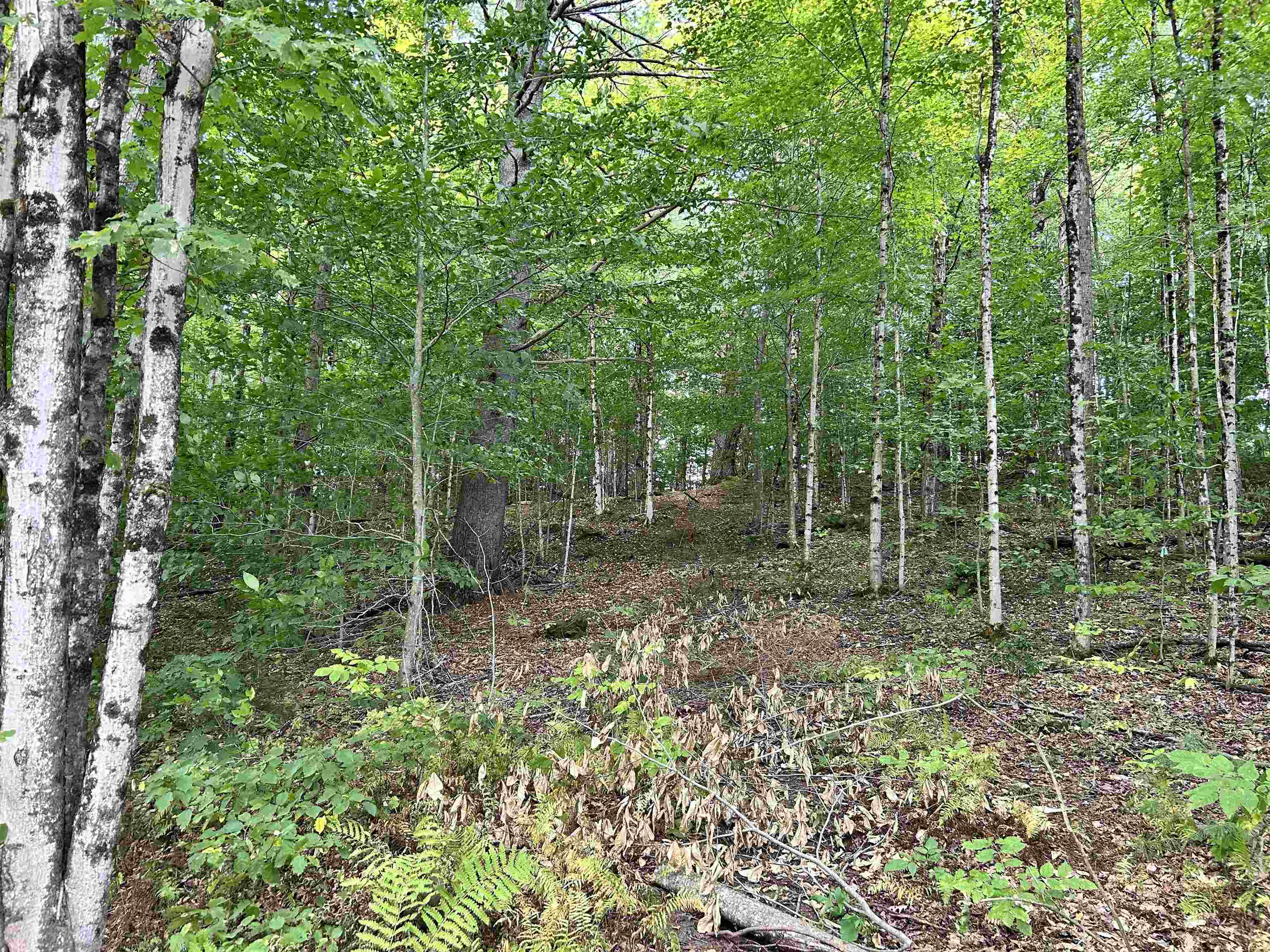 0 Gar Road Property Photo 8