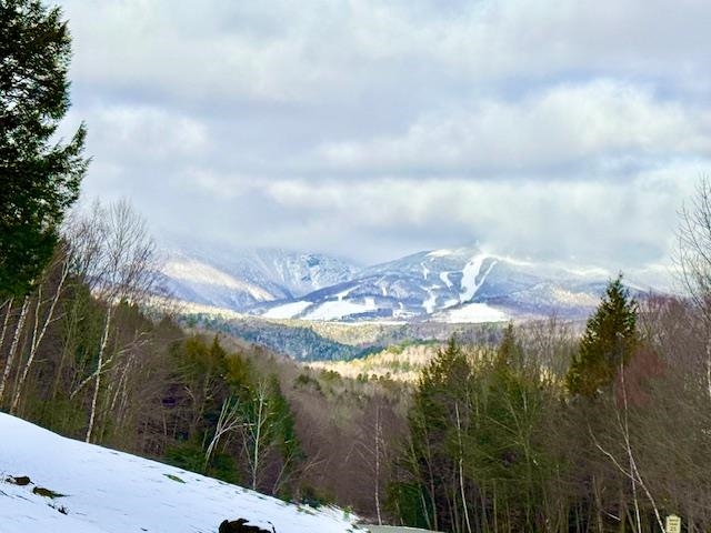 982 Brook Road Property Photo 5