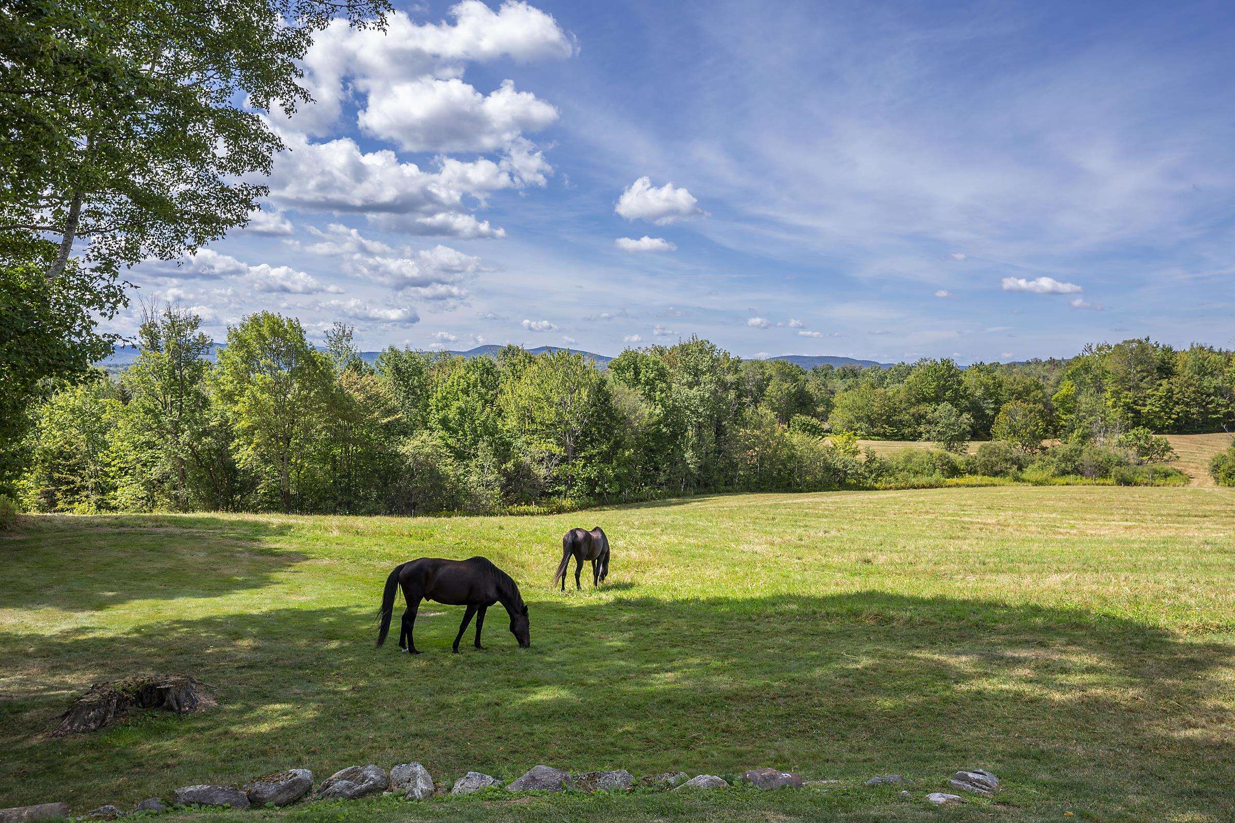 1204 Bailey Road Property Photo 50