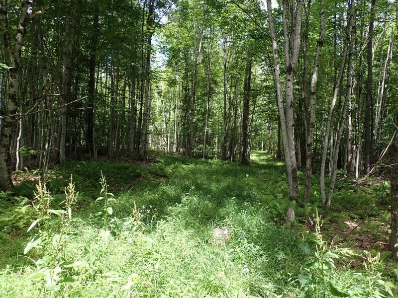 00 Denio Road Property Photo 4