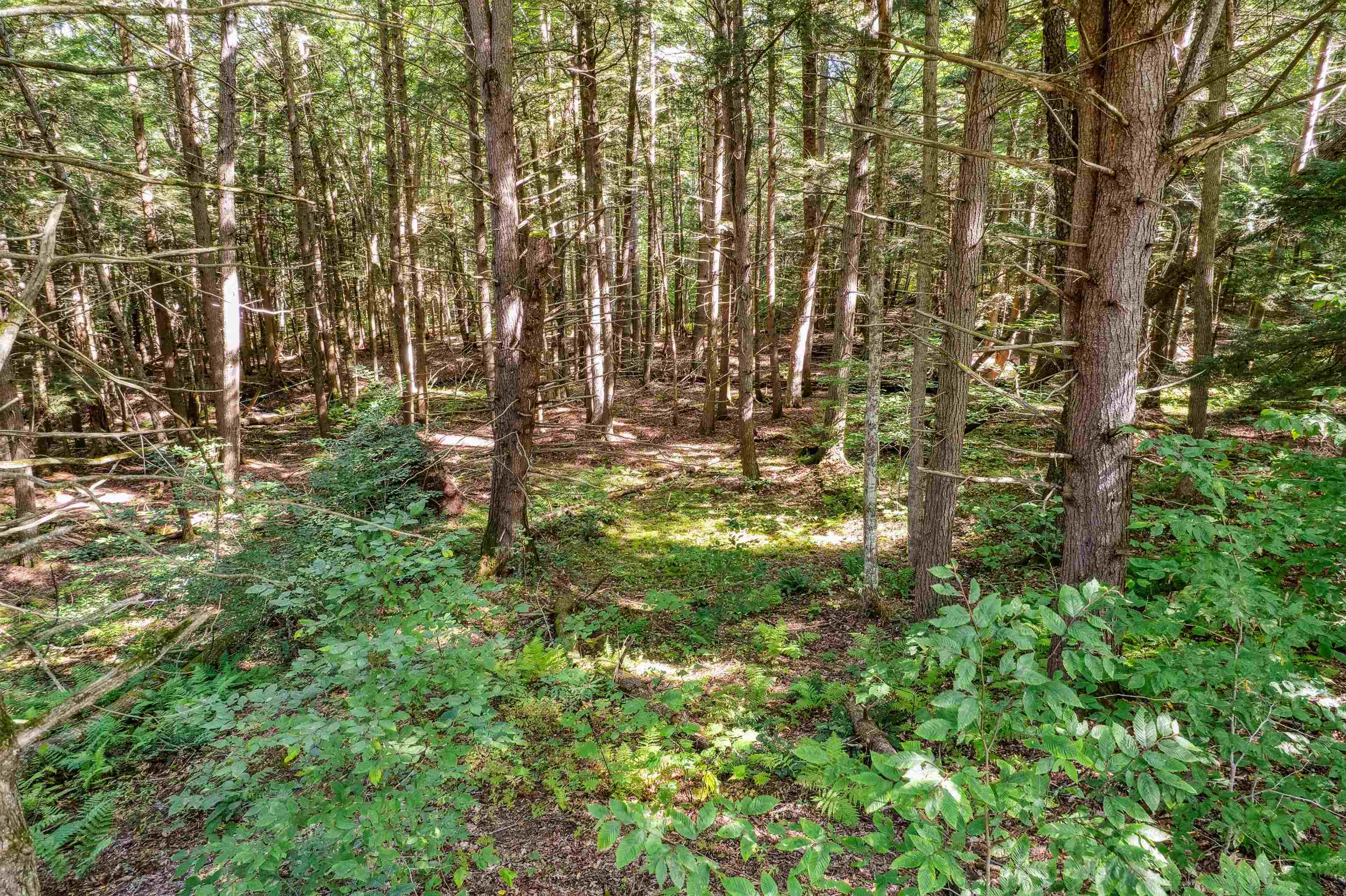 933 Gage Road Property Photo 3