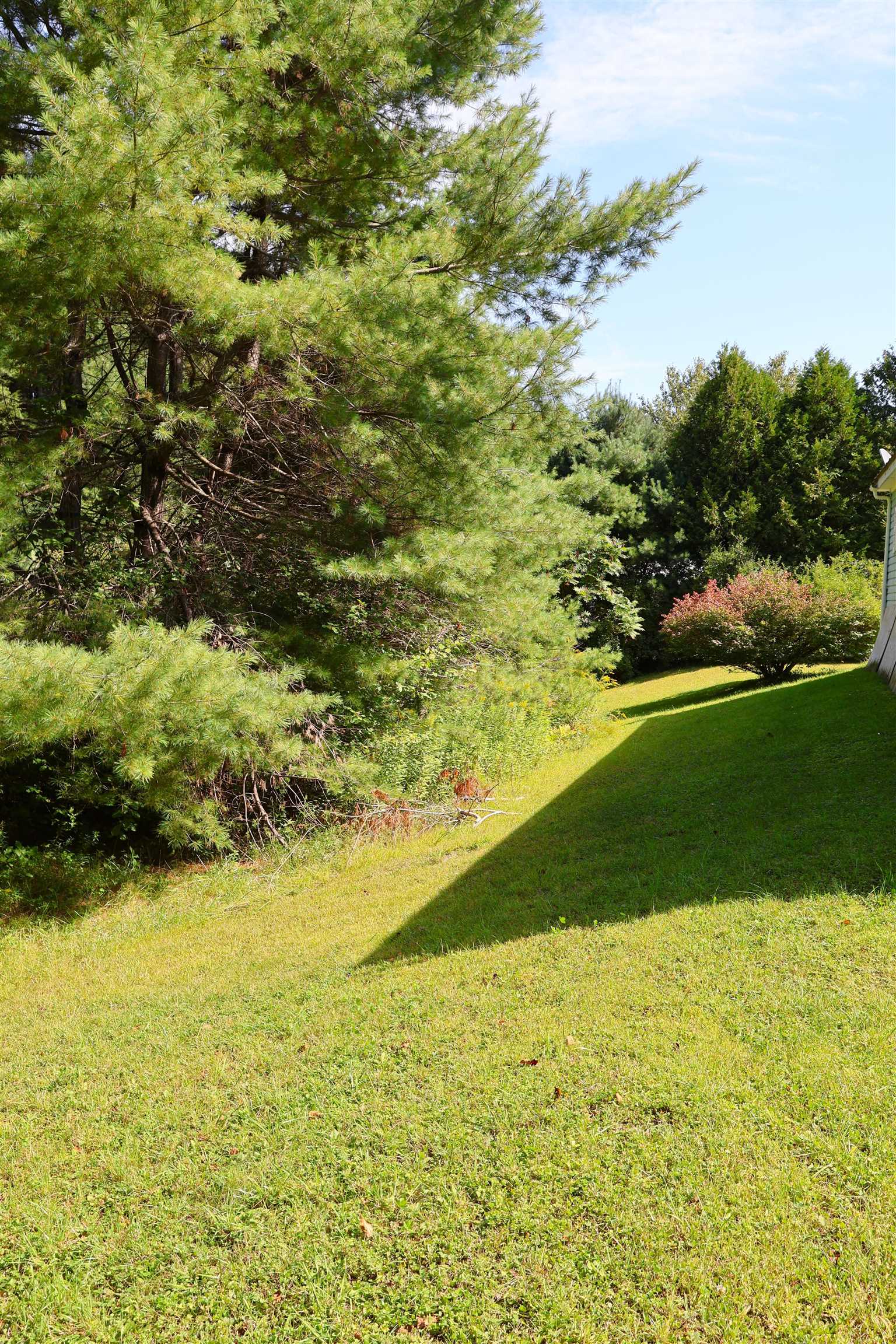 149 Willow Circle Property Photo 7