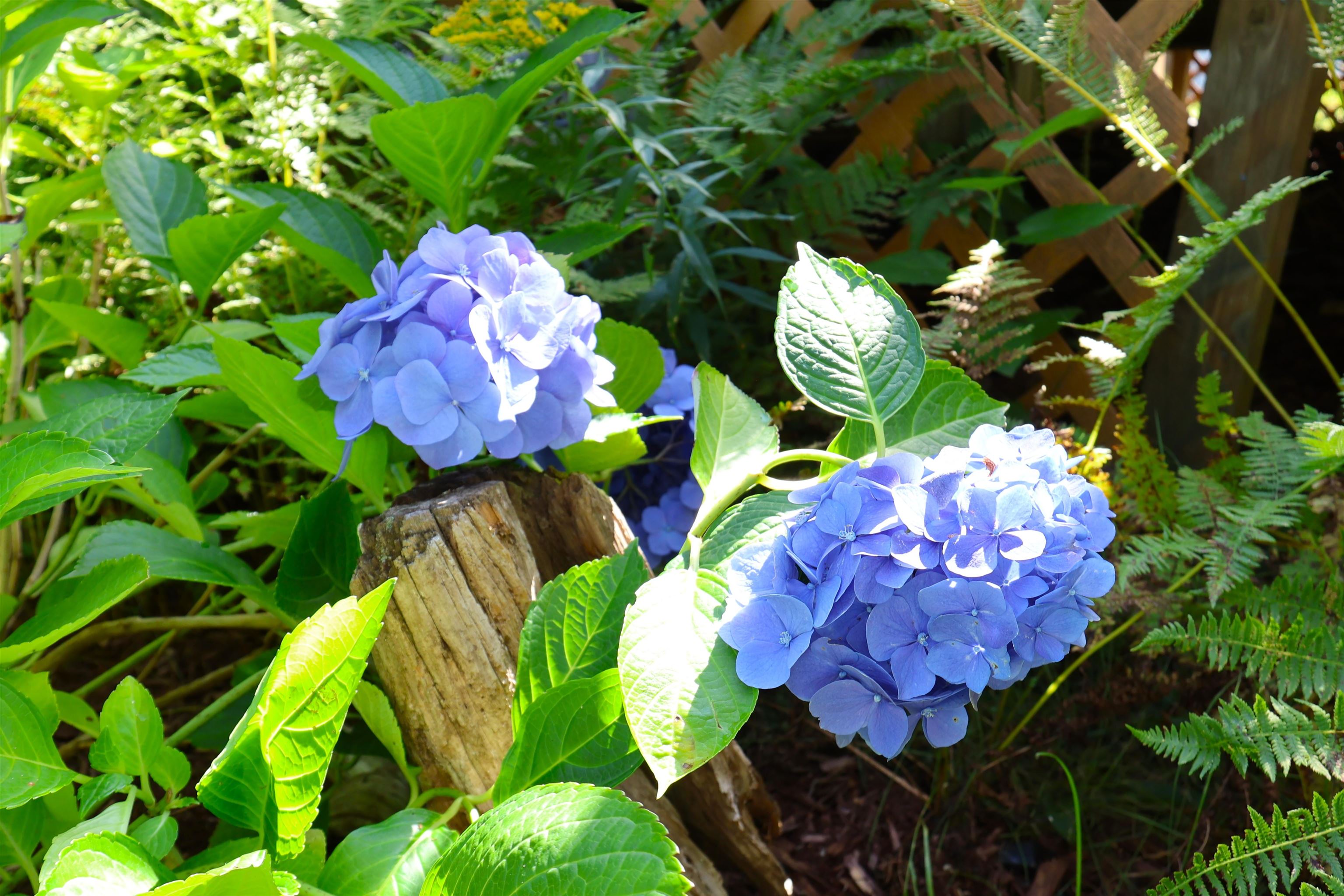 149 Willow Circle Property Photo 39