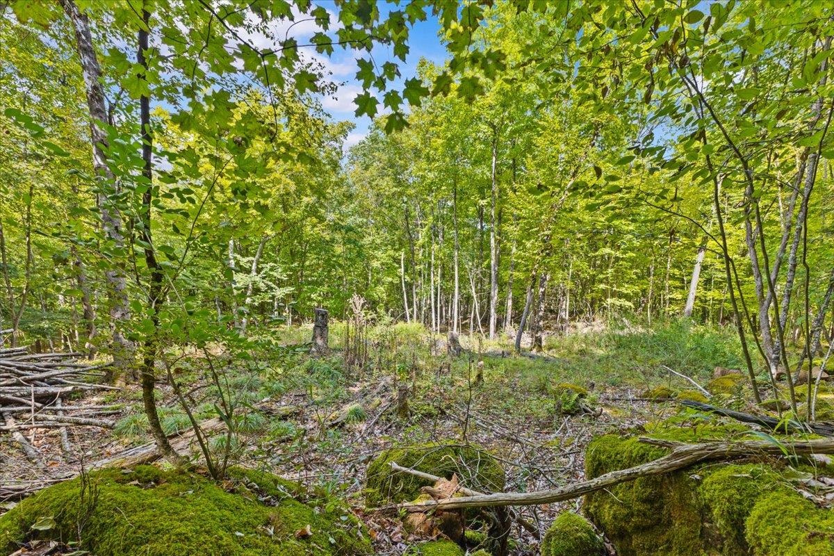 514 Red Rock Road Property Photo 1