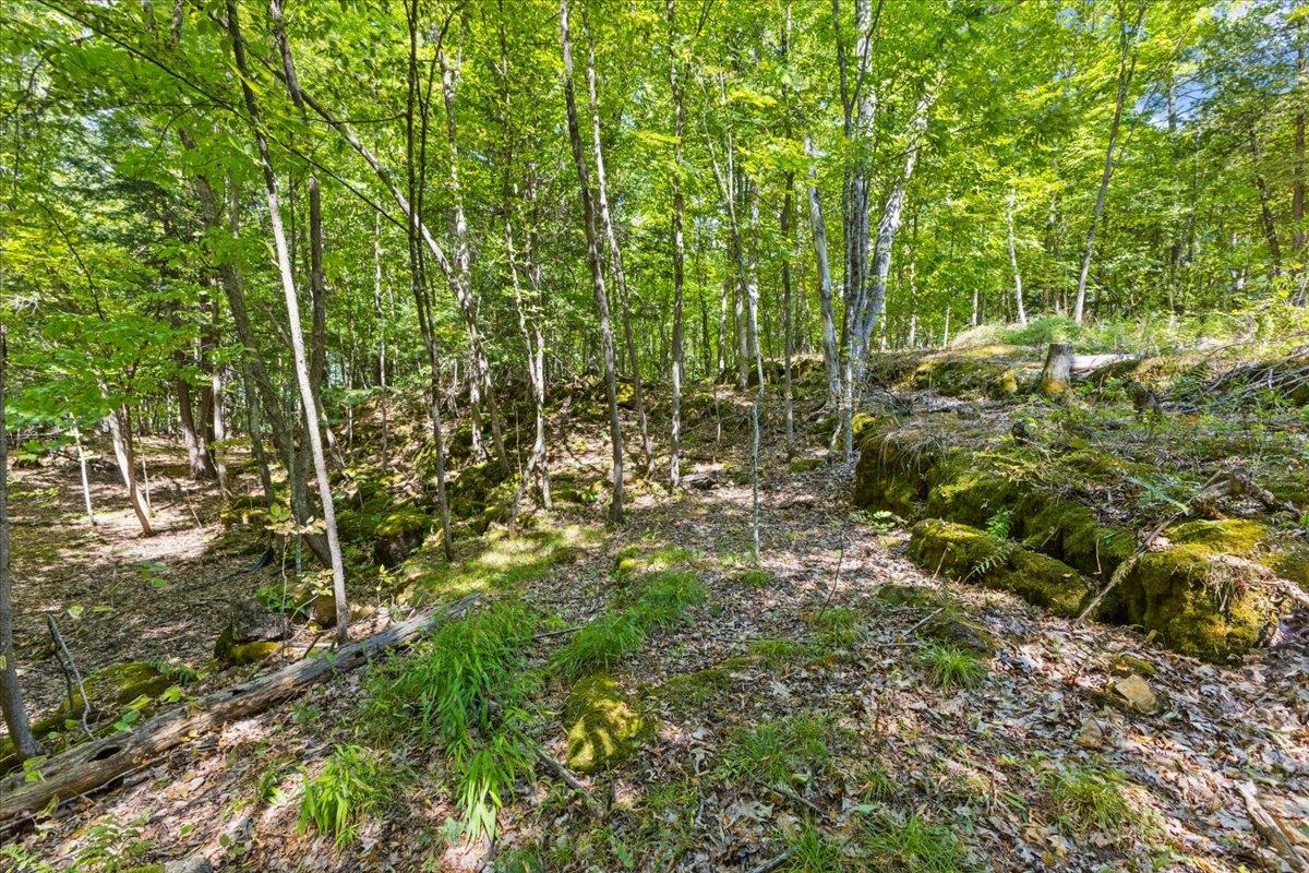 514 Red Rock Road Property Photo 8