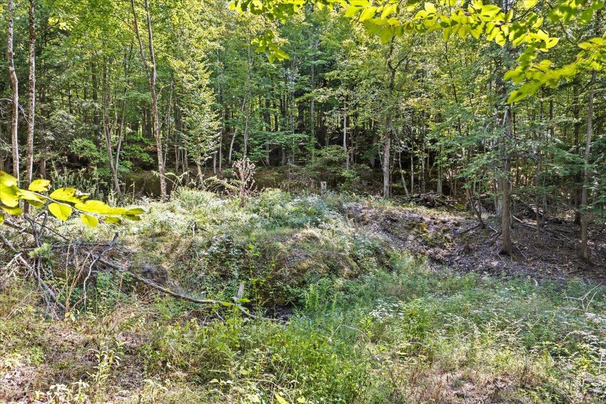 514 Red Rock Road Property Photo 12