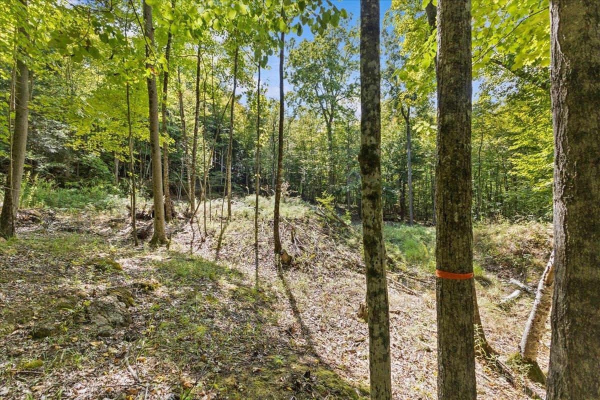 514 Red Rock Road Property Photo 14