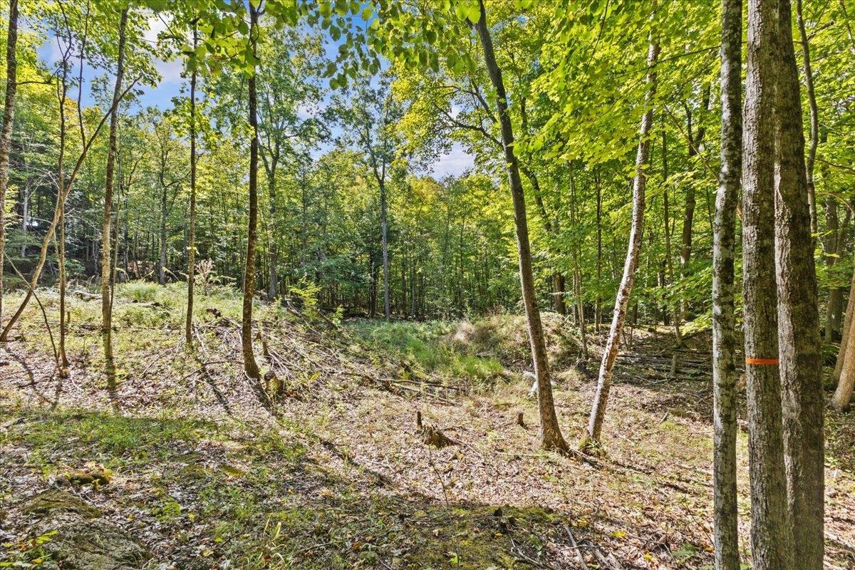 514 Red Rock Road Property Photo 15