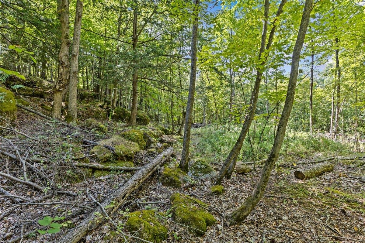 514 Red Rock Road Property Photo 16