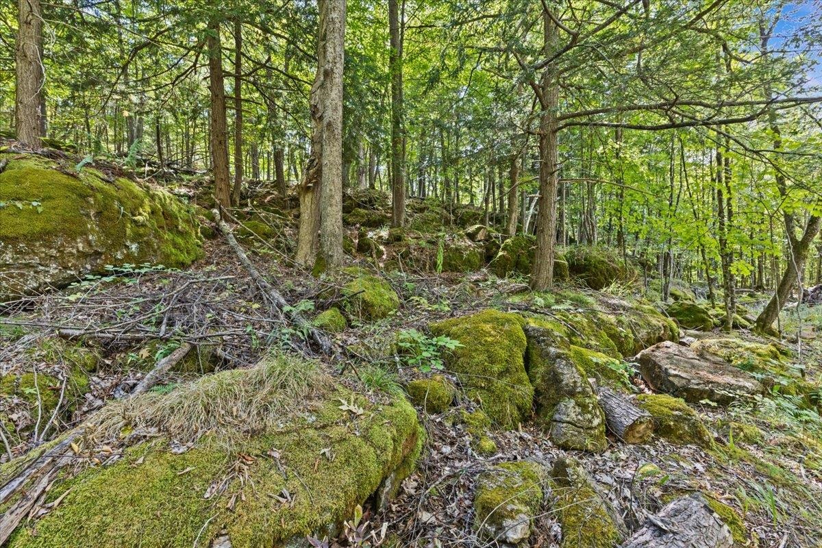 514 Red Rock Road Property Photo 19
