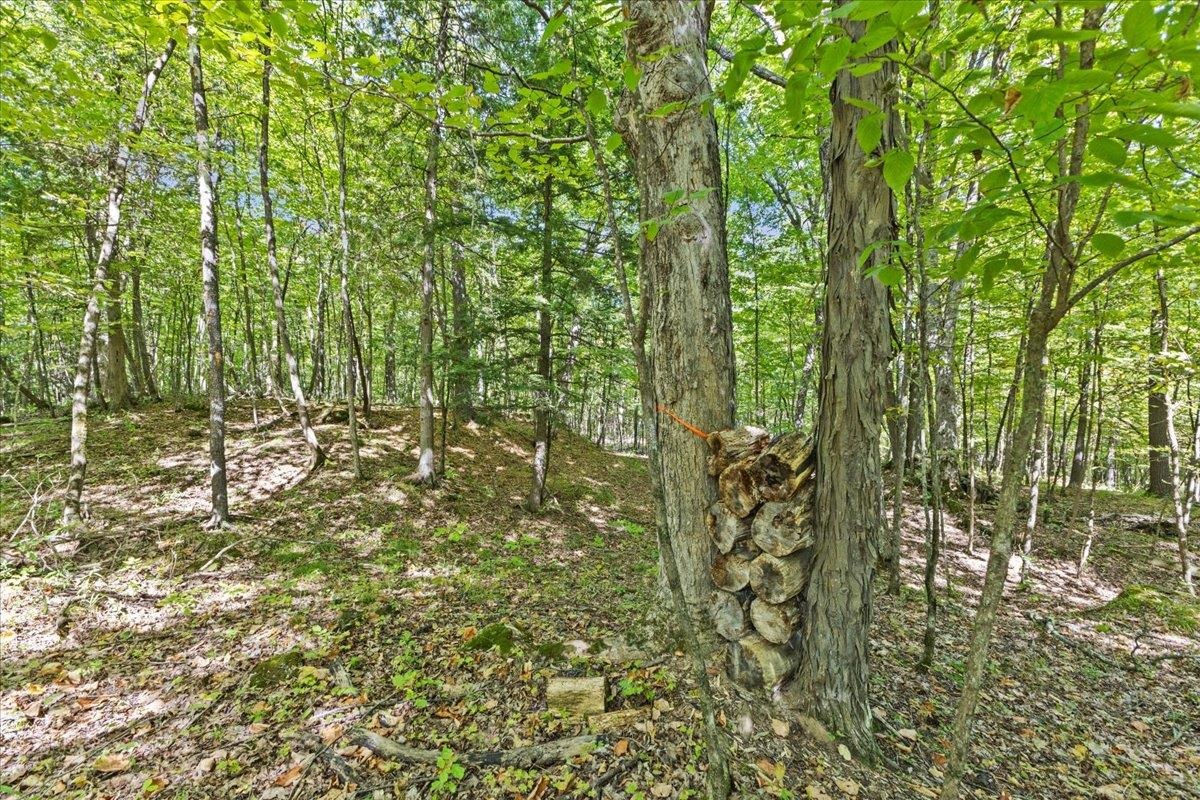 514 Red Rock Road Property Photo 20