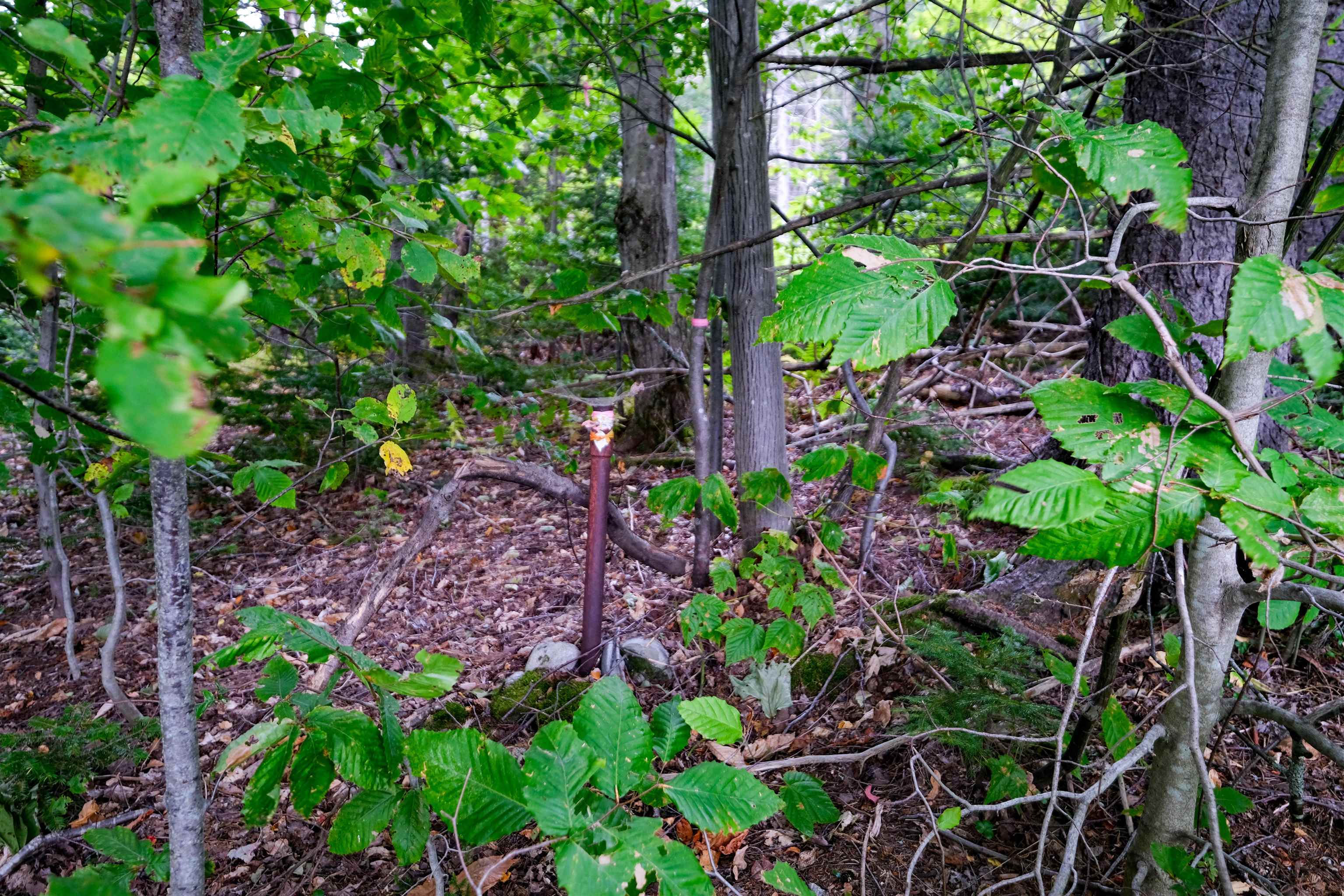 00 Evergreen Acres Property Photo 4