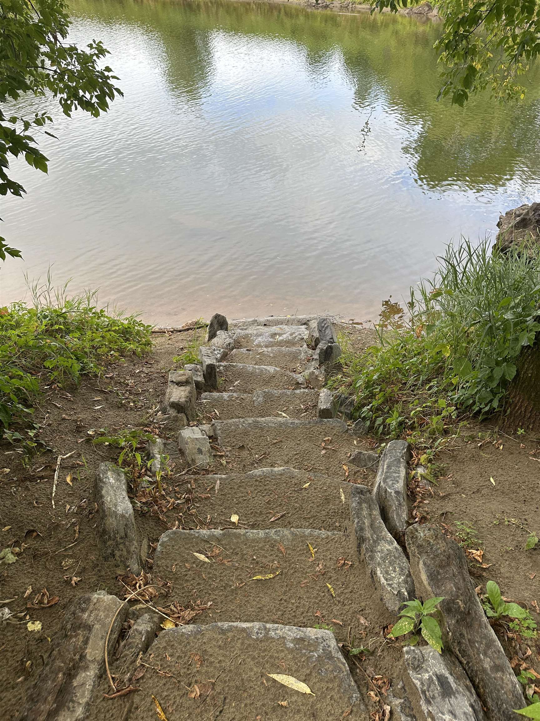 45 Camp Road Property Photo 35