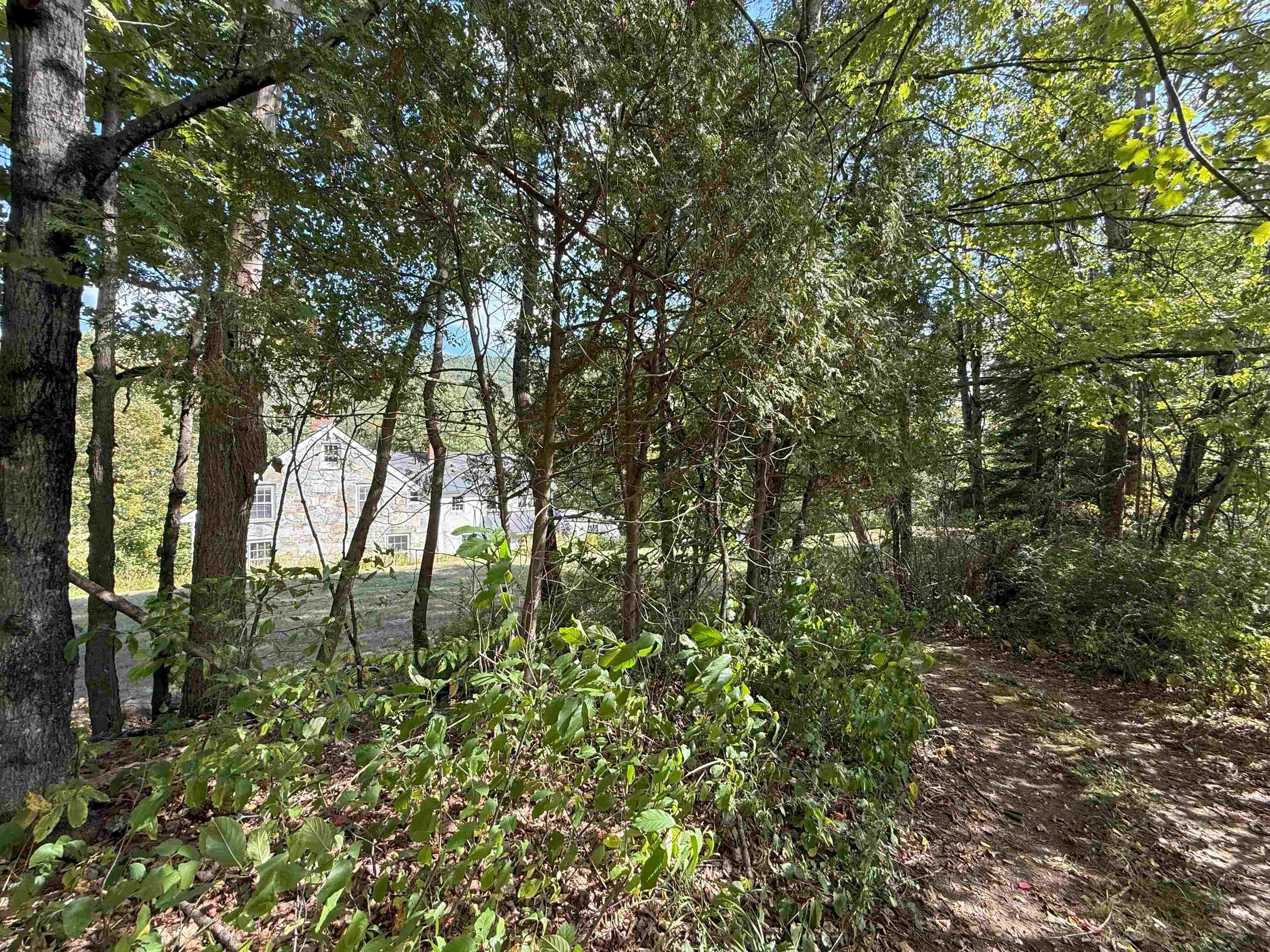 628 Townshend Road Property Photo 43
