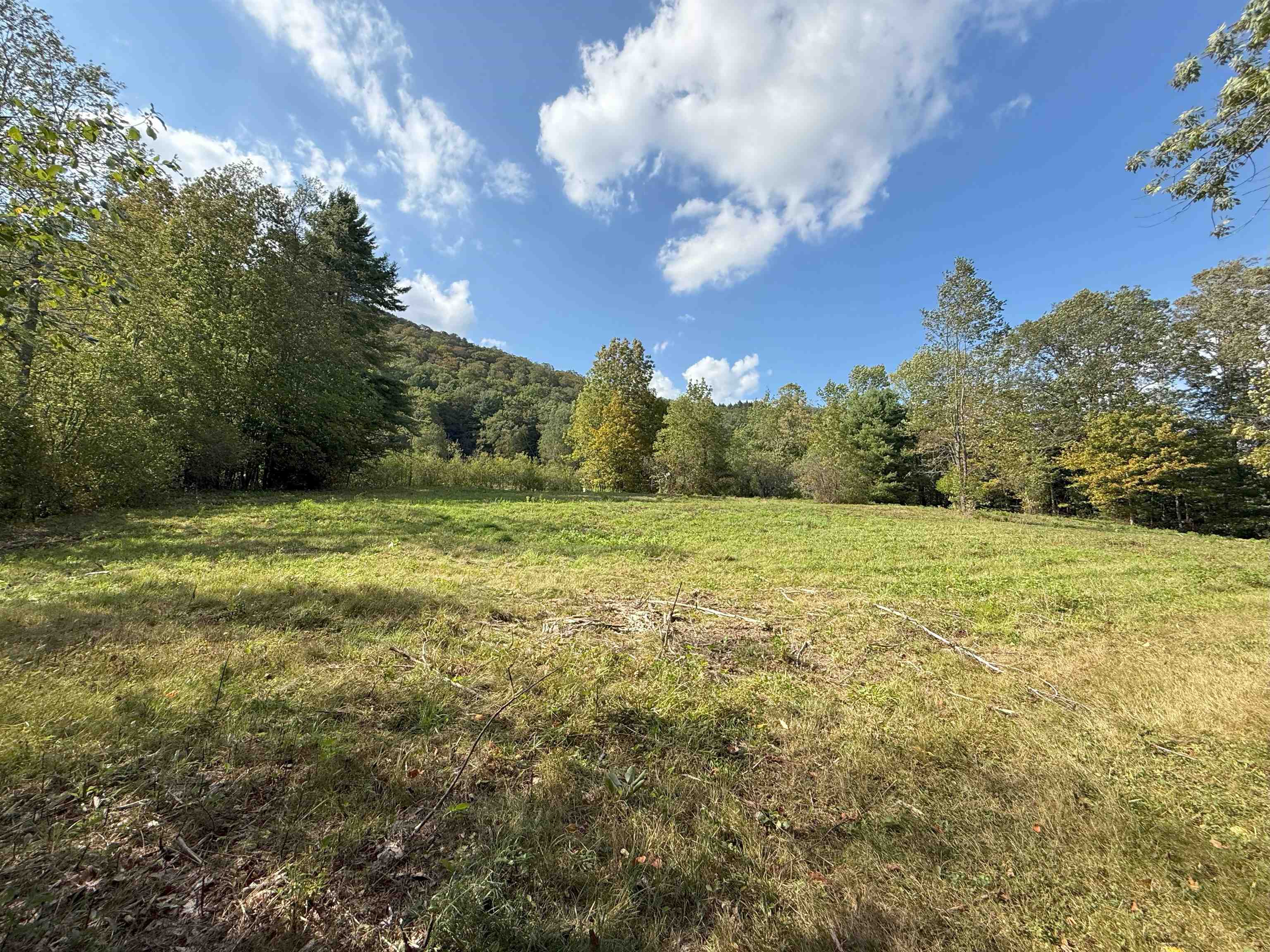 628 Townshend Road Property Photo 44