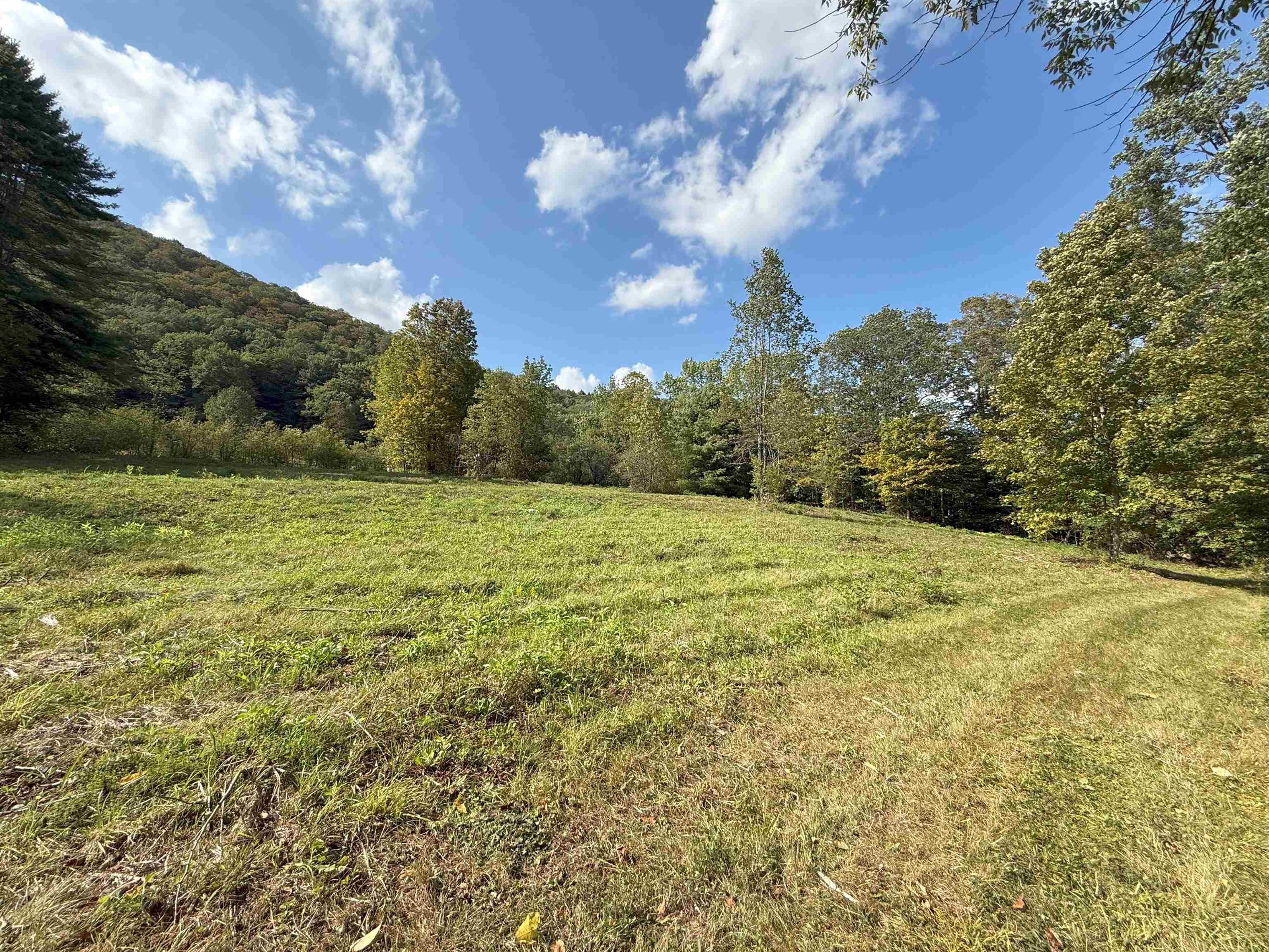 628 Townshend Road Property Photo 45