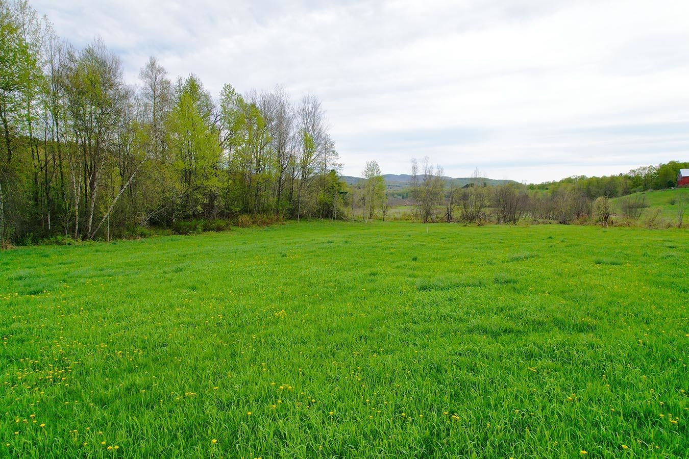 Lot 12-13 Paradis Lane Property Photo 7