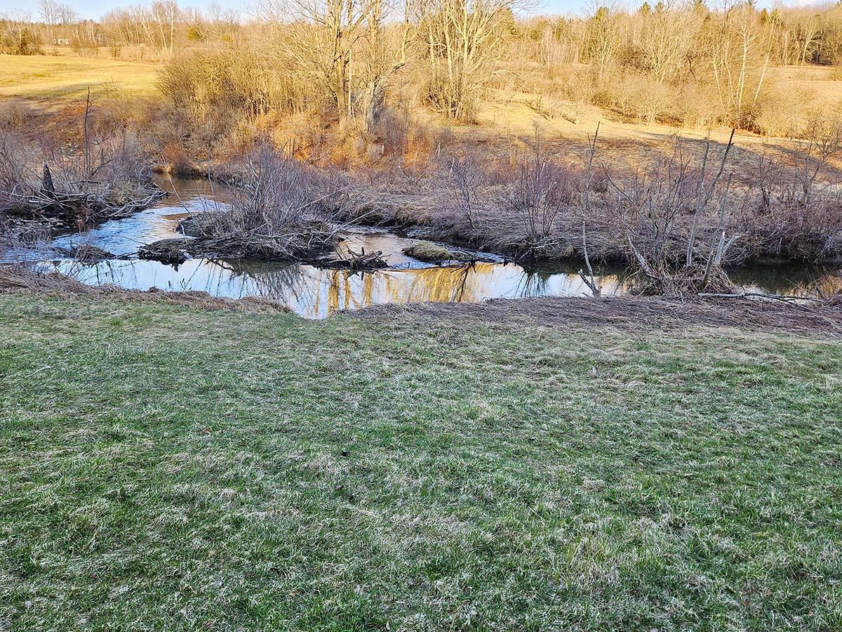 Lot 12-13 Paradis Lane Property Photo 13