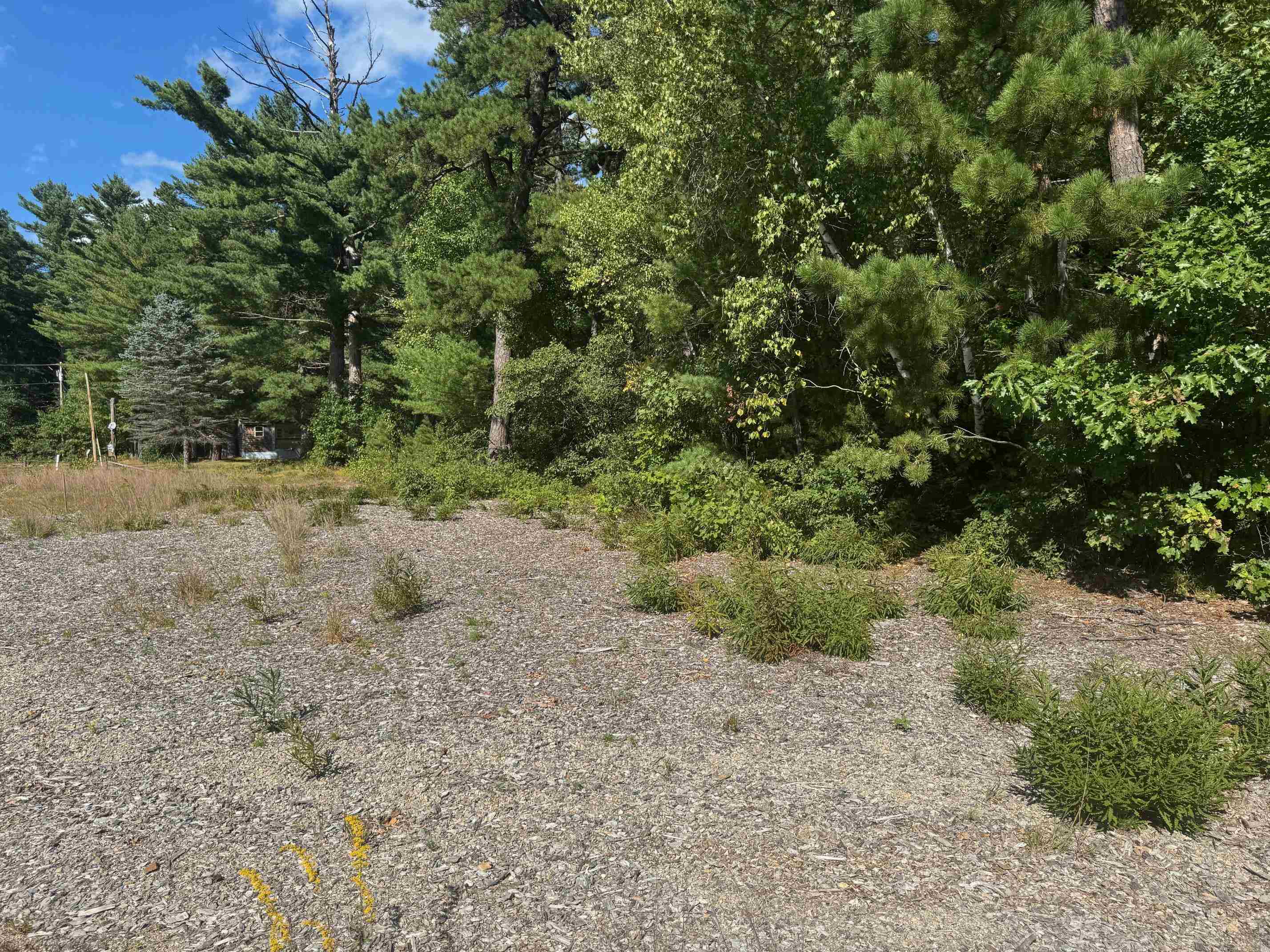 1785 White Mountain Highway Property Photo 8