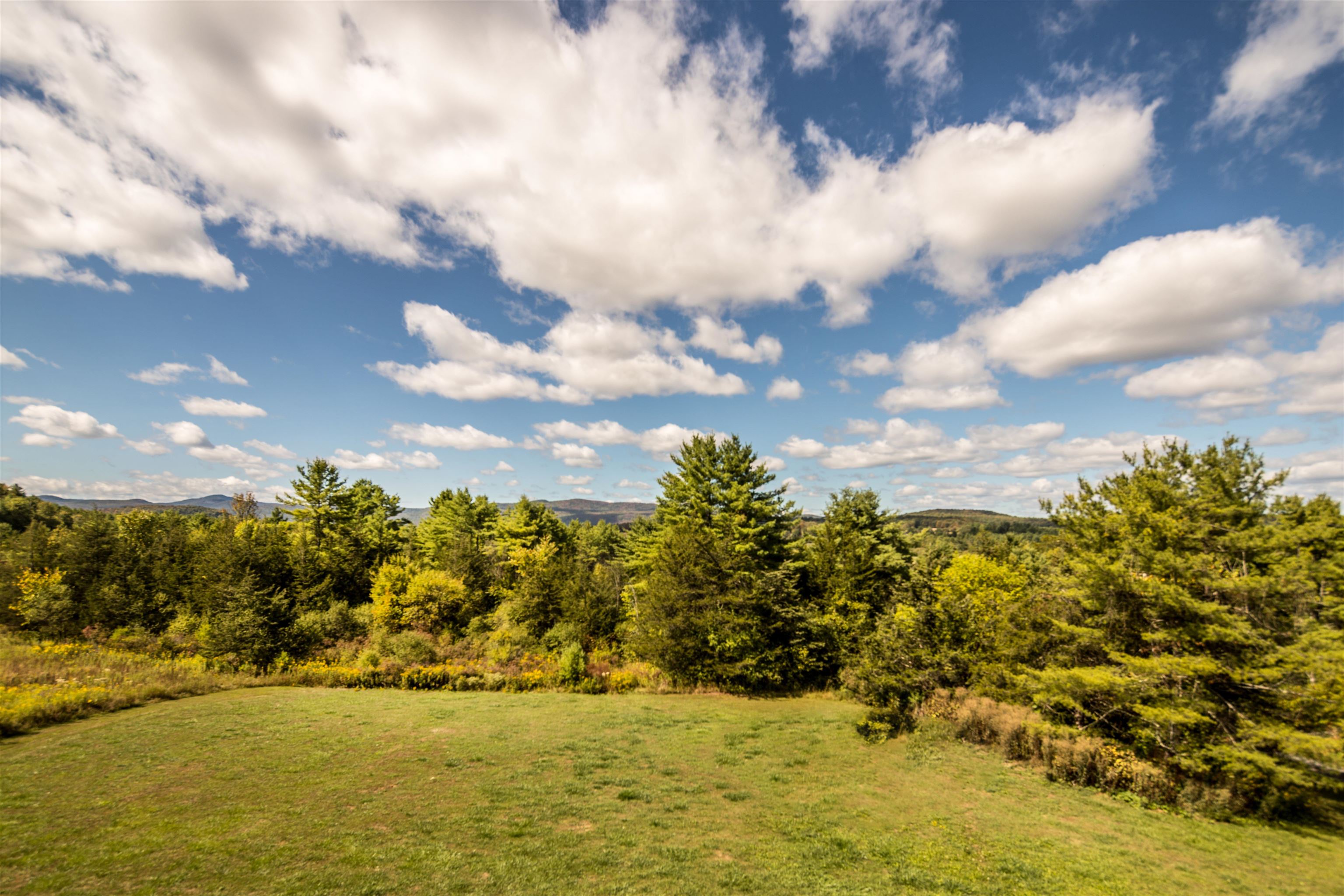 3845 Main Road Property Photo 36