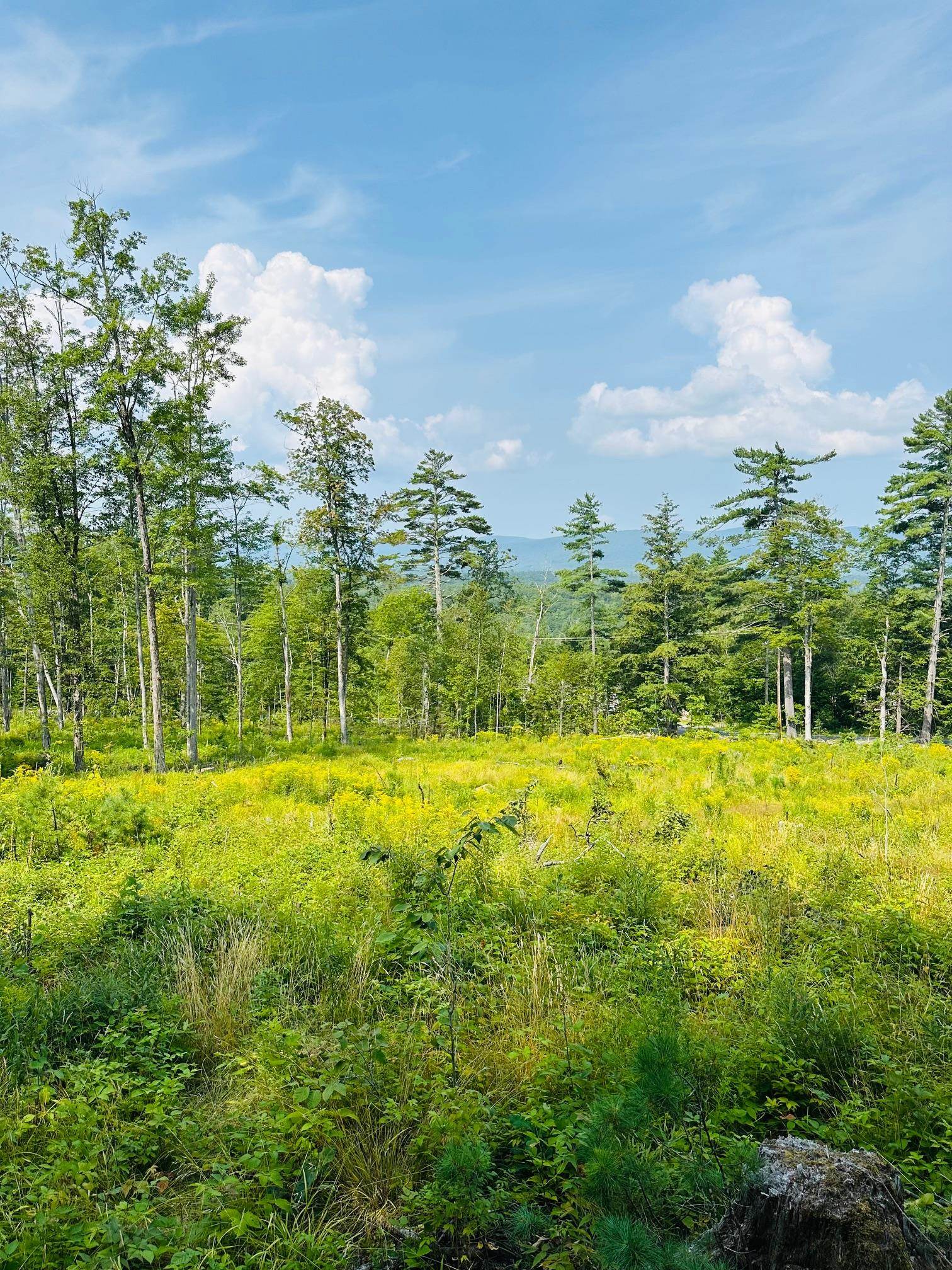 2024 Route 114 Property Photo 1