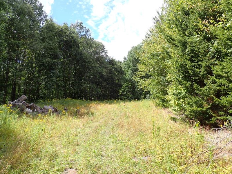 955 Hall Road Property Photo 10