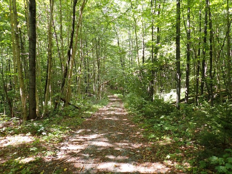 955 Hall Road Property Photo 12