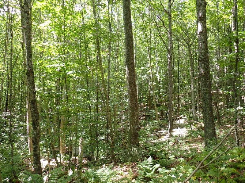 955 Hall Road Property Photo 13