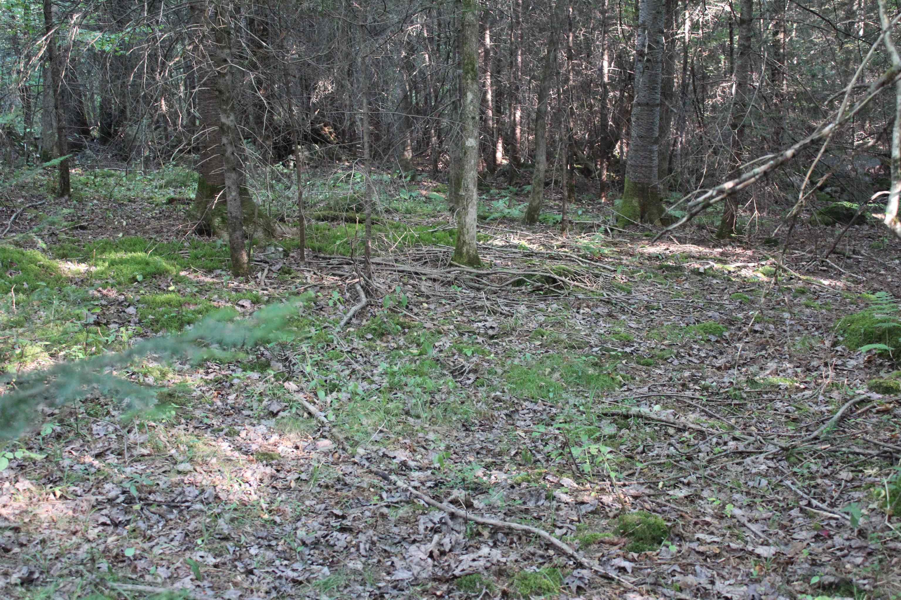 00 Miles Pond Road Property Photo 3