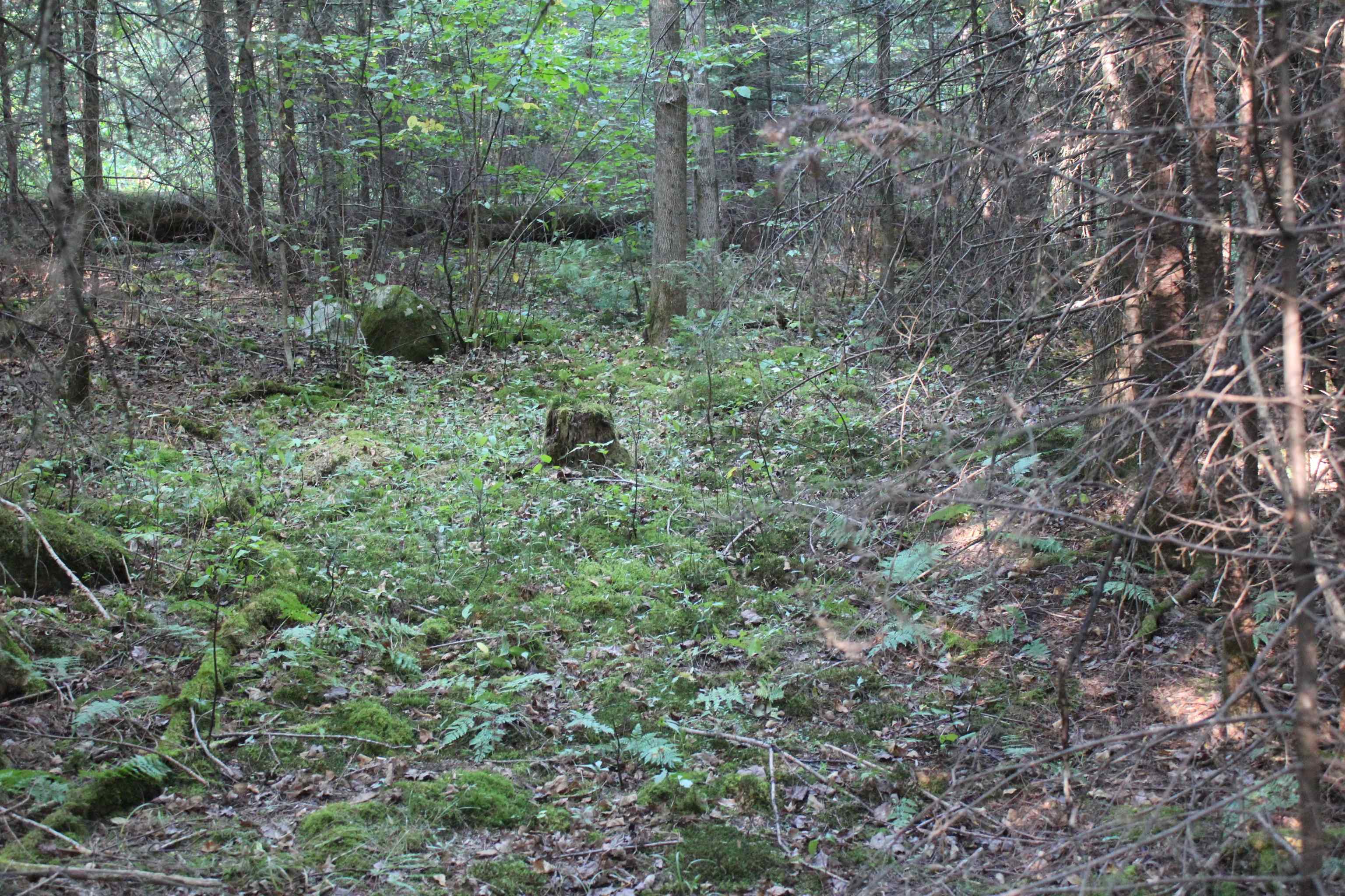 00 Miles Pond Road Property Photo 4