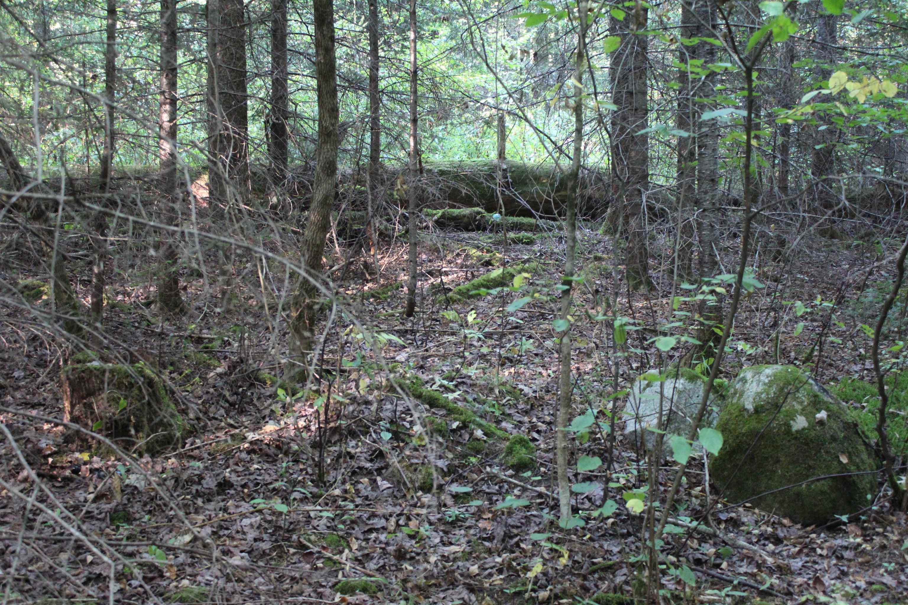 00 Miles Pond Road Property Photo 5