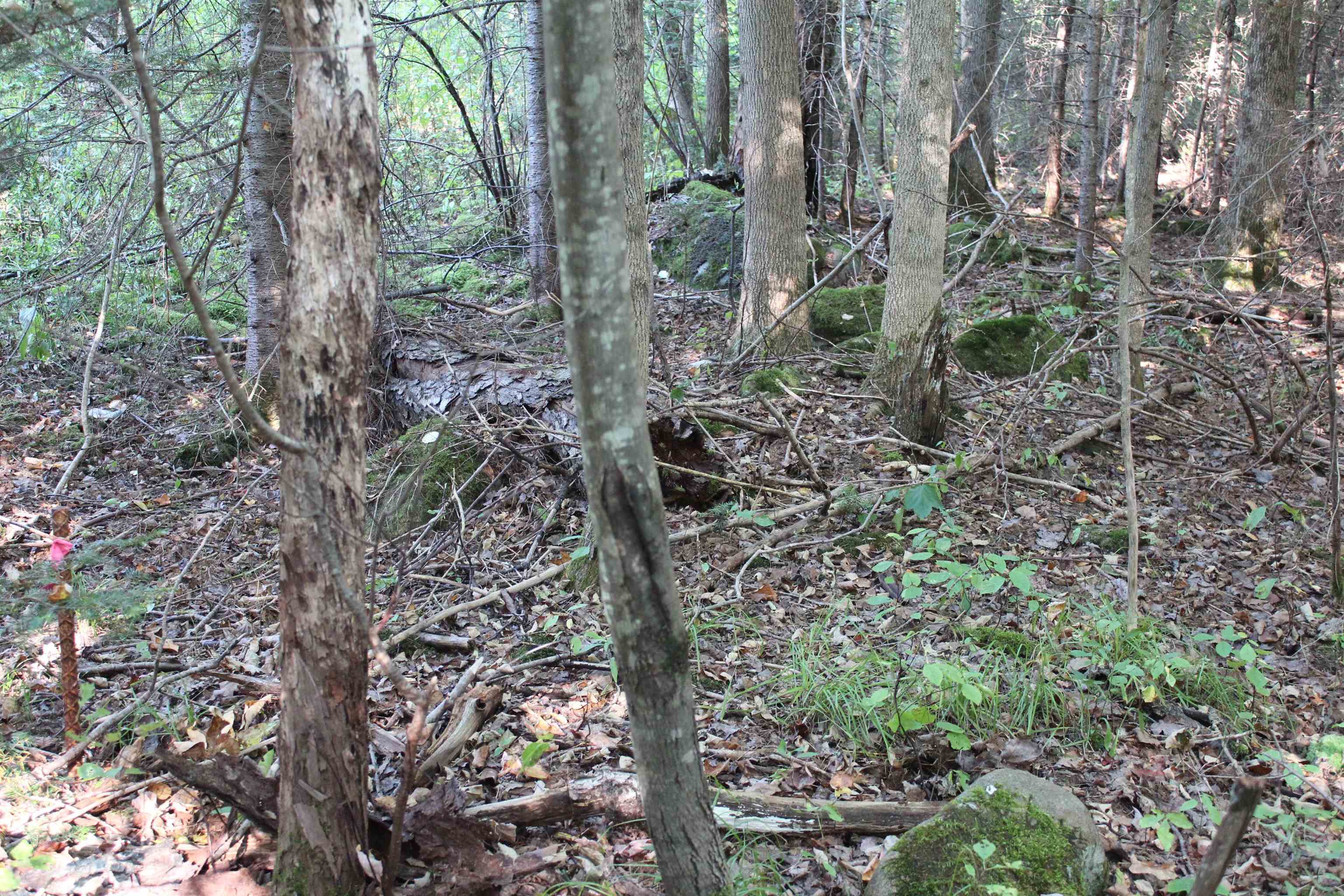 00 Miles Pond Road Property Photo 7