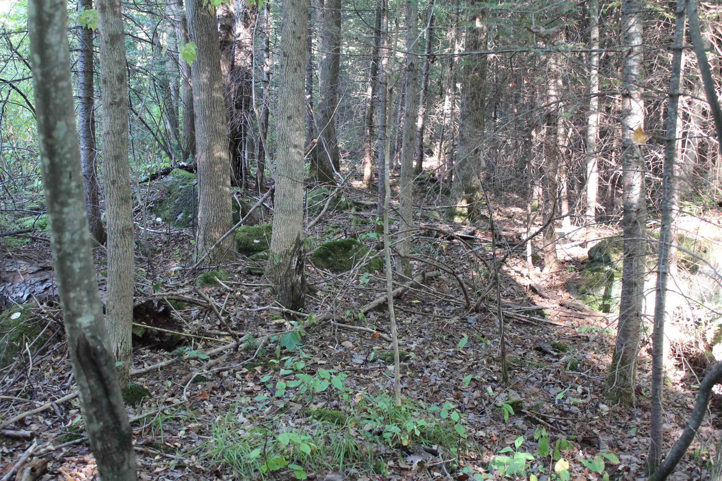 00 Miles Pond Road Property Photo 8