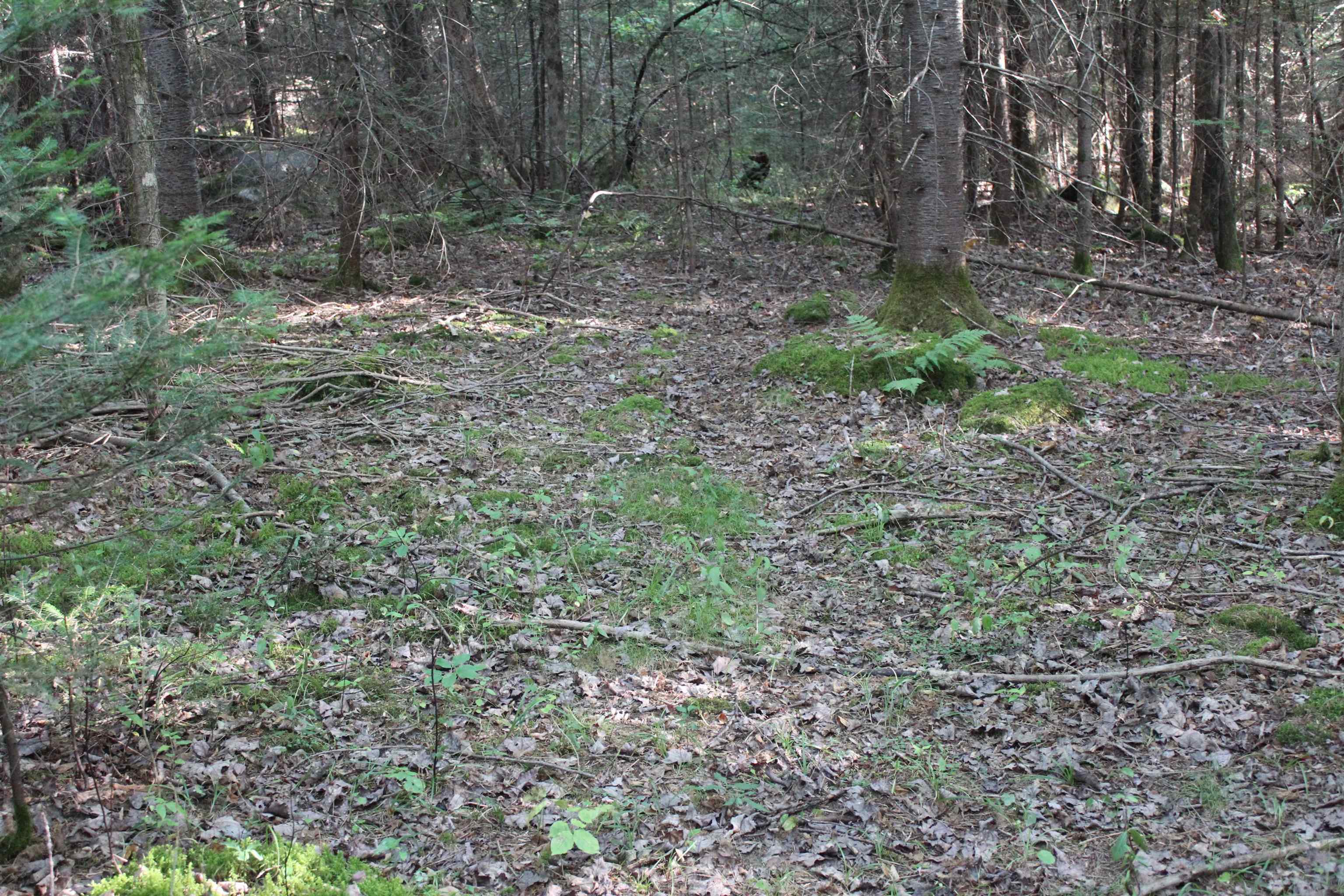 00 Miles Pond Road Property Photo 9