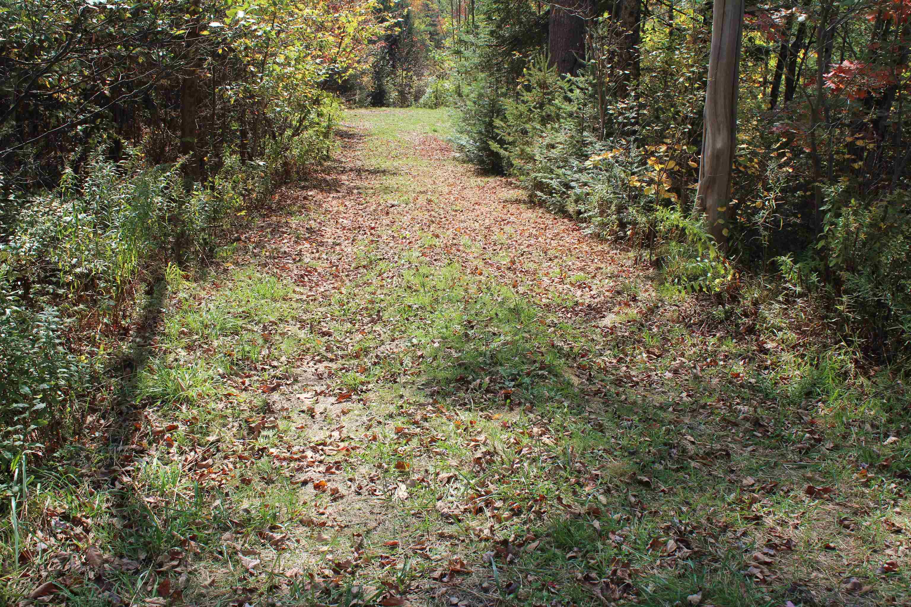 00 Miles Pond Road Property Photo 11