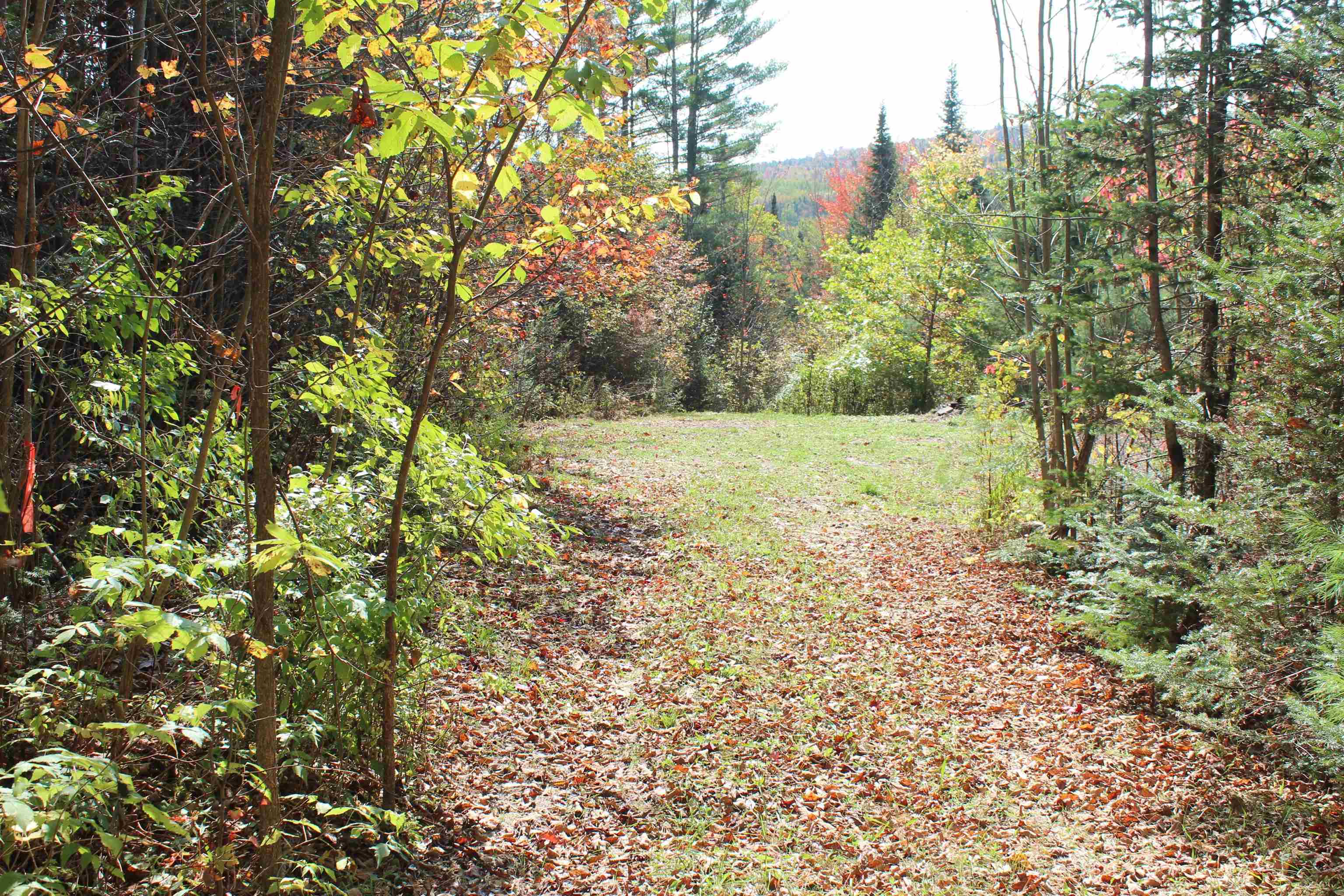 00 Miles Pond Road Property Photo 12