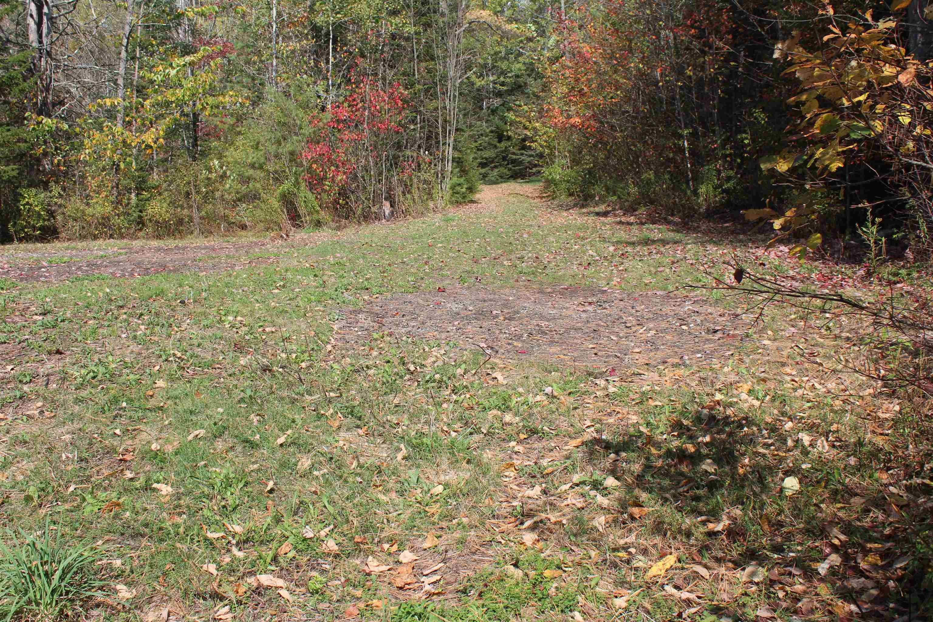 00 Miles Pond Road Property Photo 15