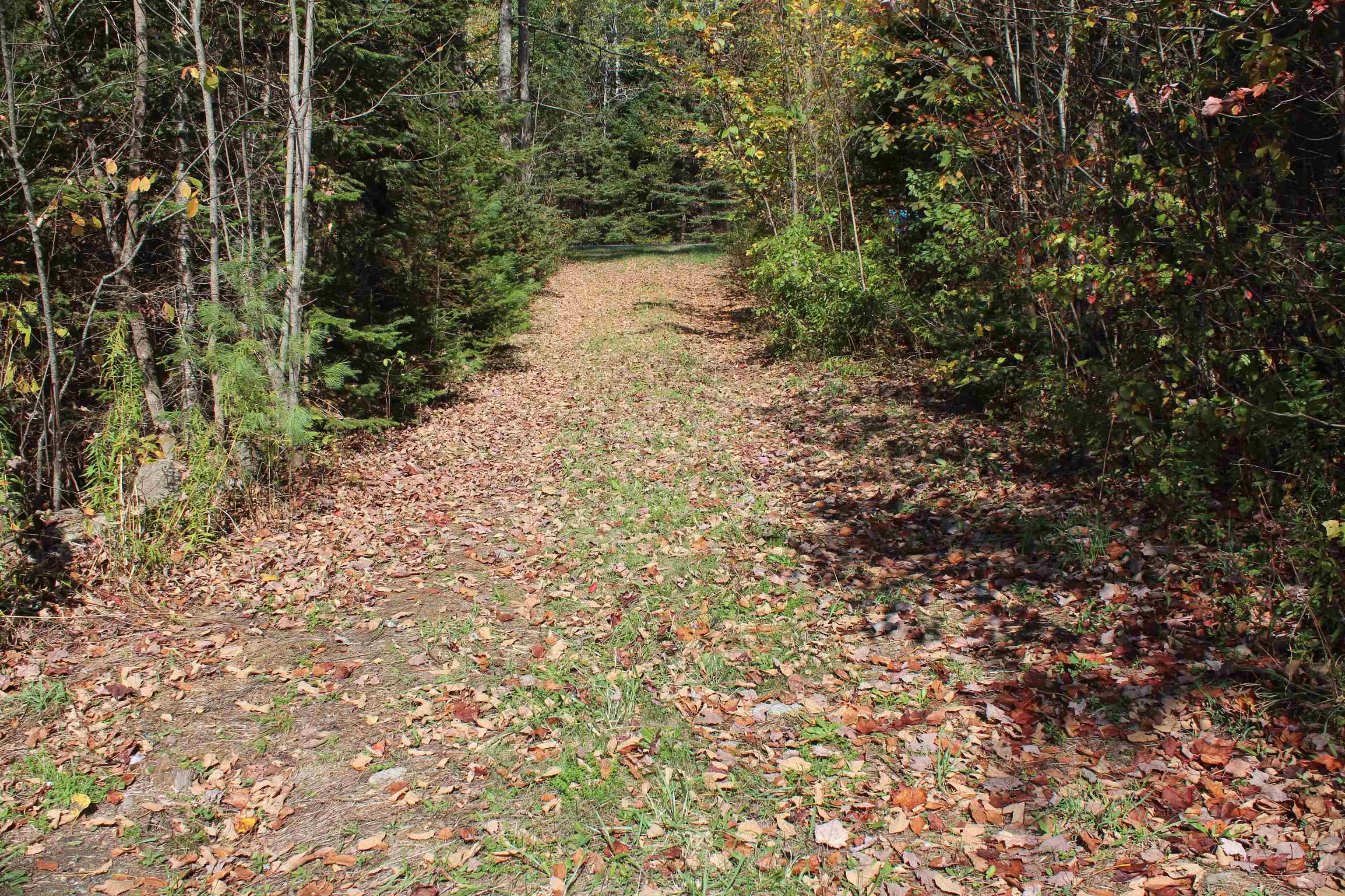 00 Miles Pond Road Property Photo 18